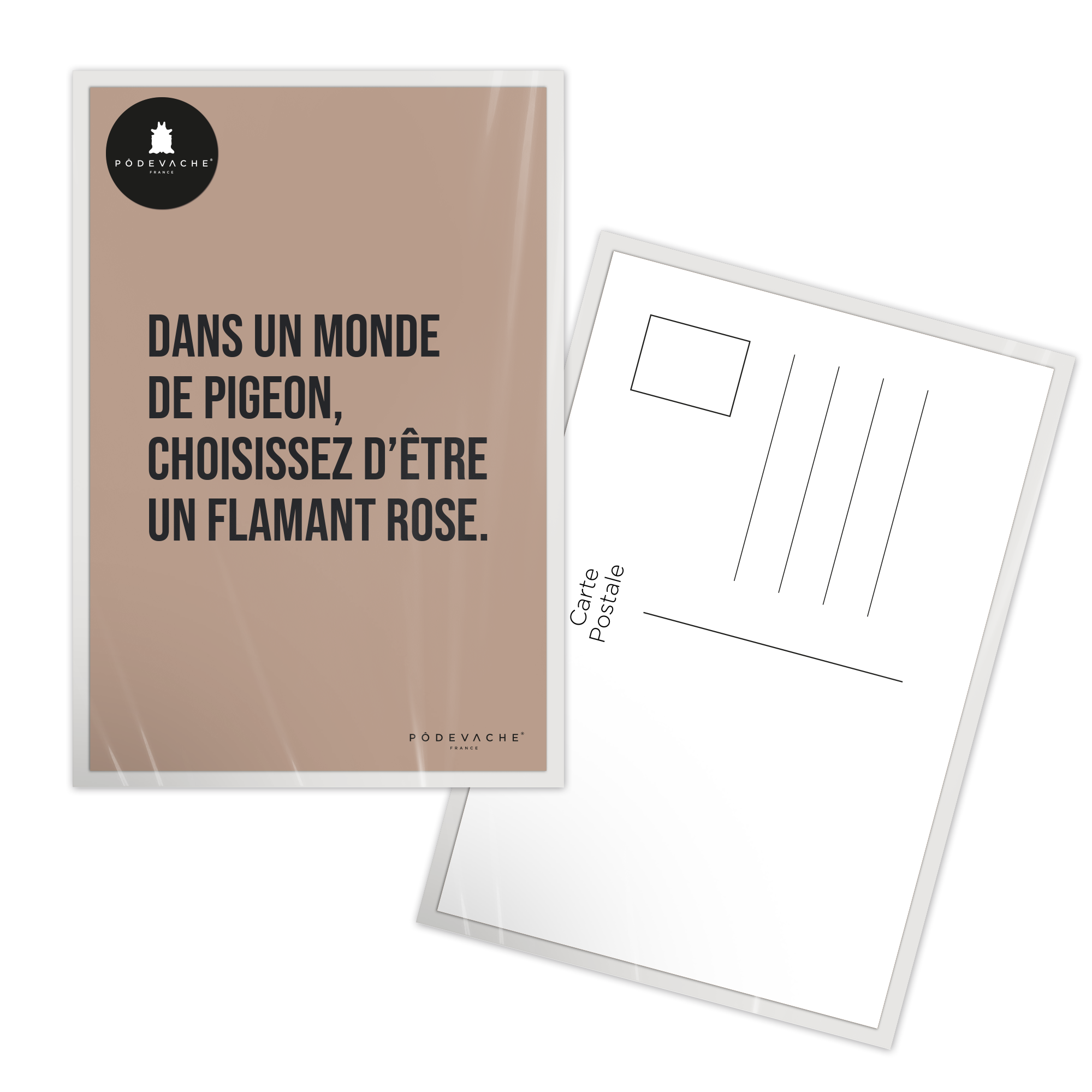 Carte postale message Pigeon