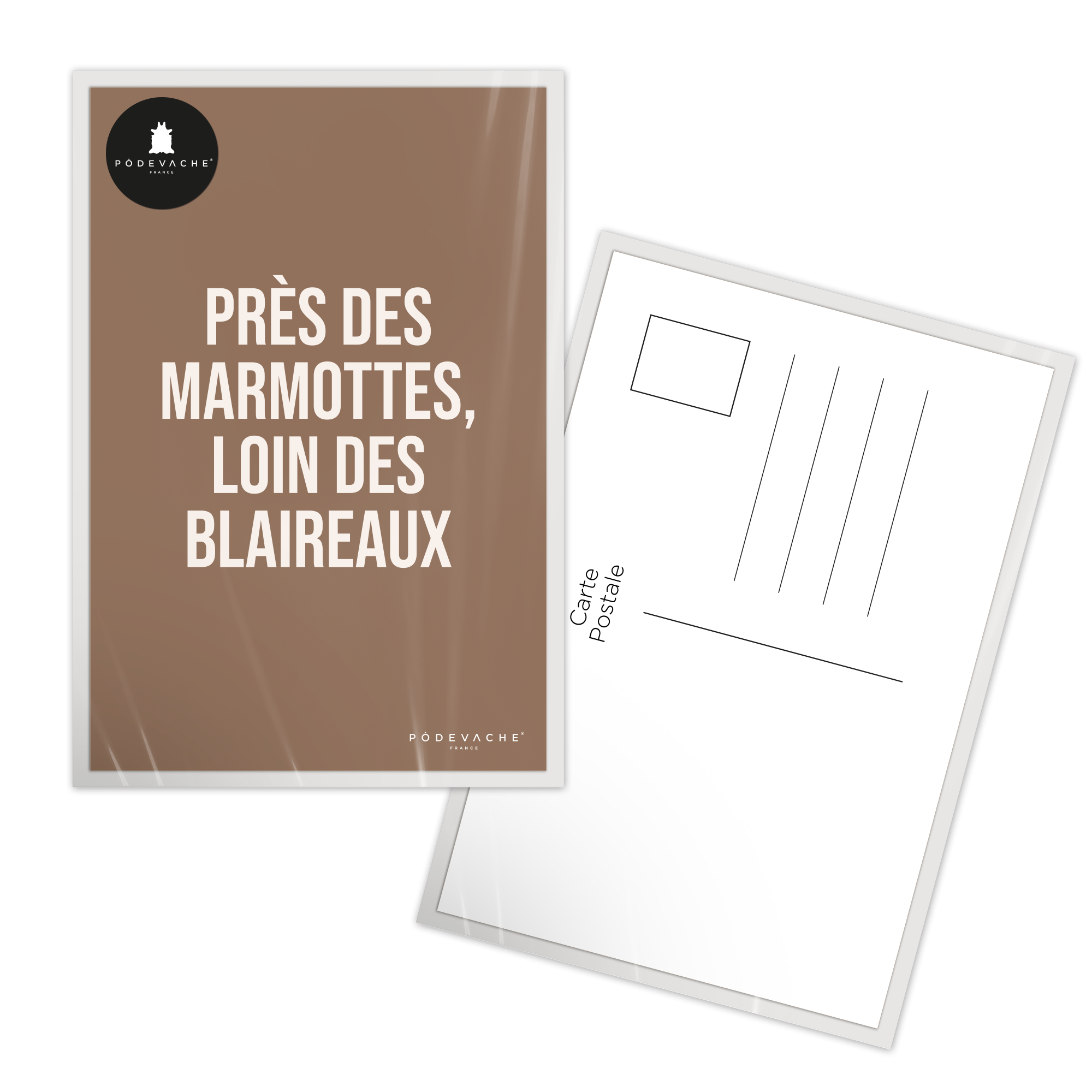 Carte postale message Marmotte