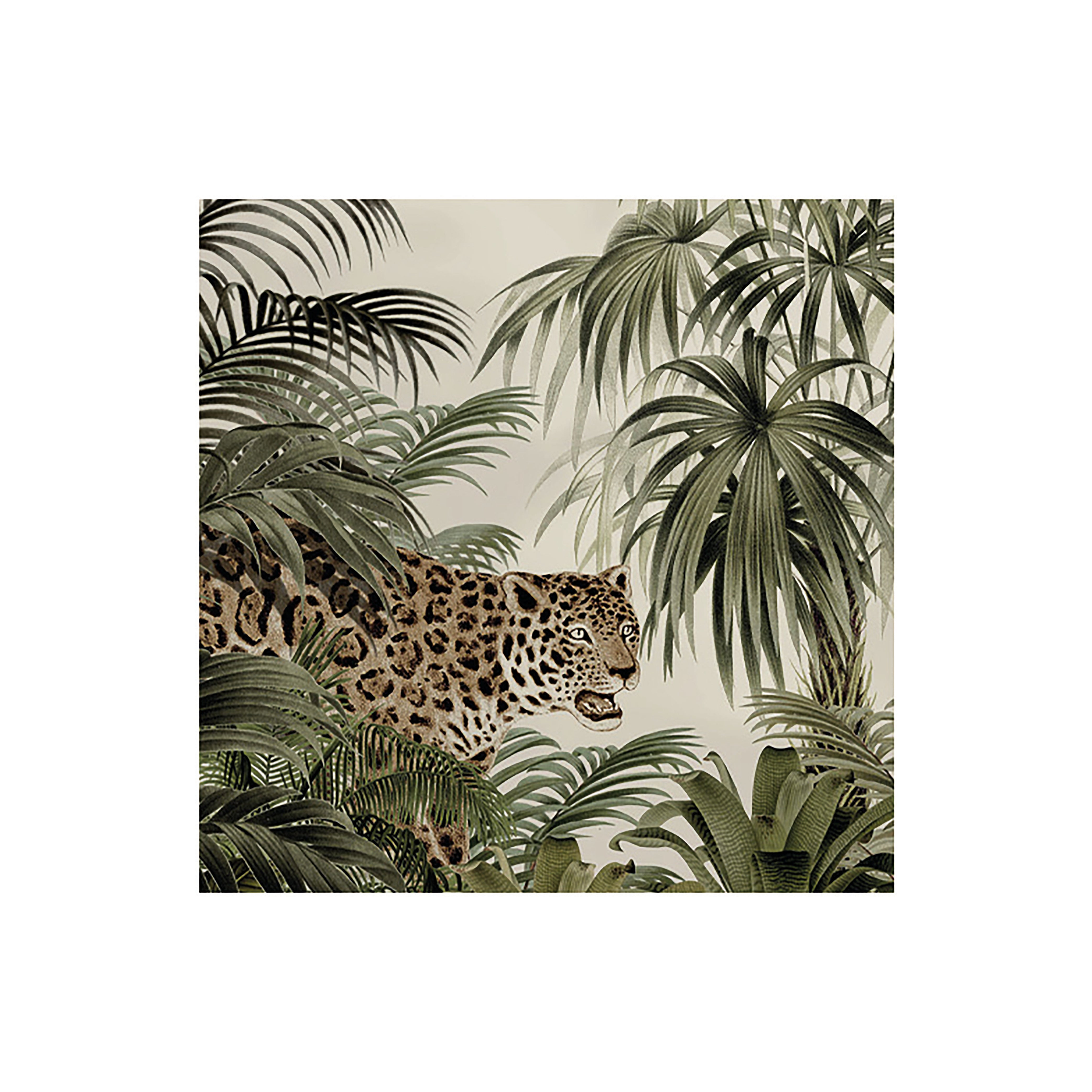 Lot De 6 Dessous De Verre Vinyle Jungle Nebuleuse