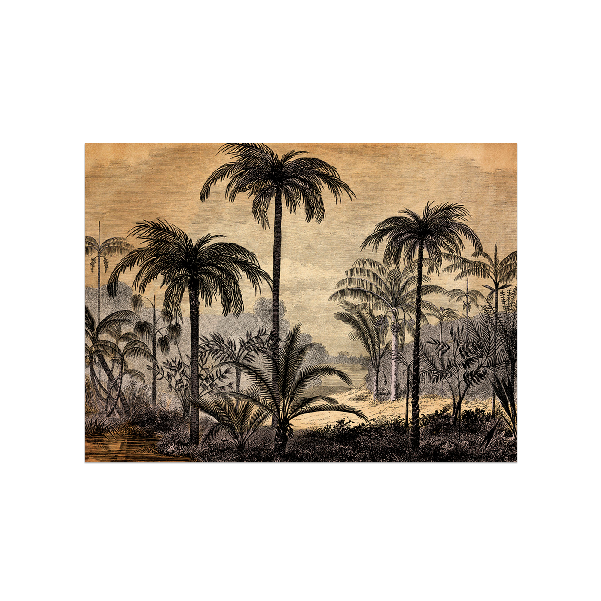 Set de table vinyle Amazonia