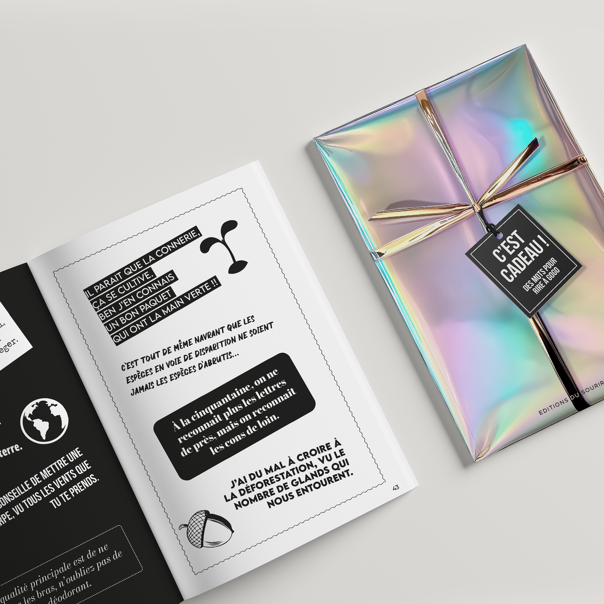 Livre C'est cadeau ! ouvert sur une double page de mots drôles, à côté du livre emballé