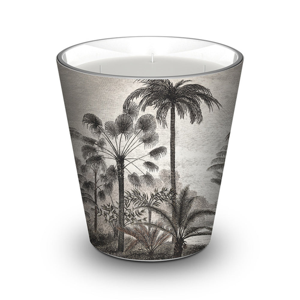 Amazonia scented candle - Patchouli / Cedar / Vanilla