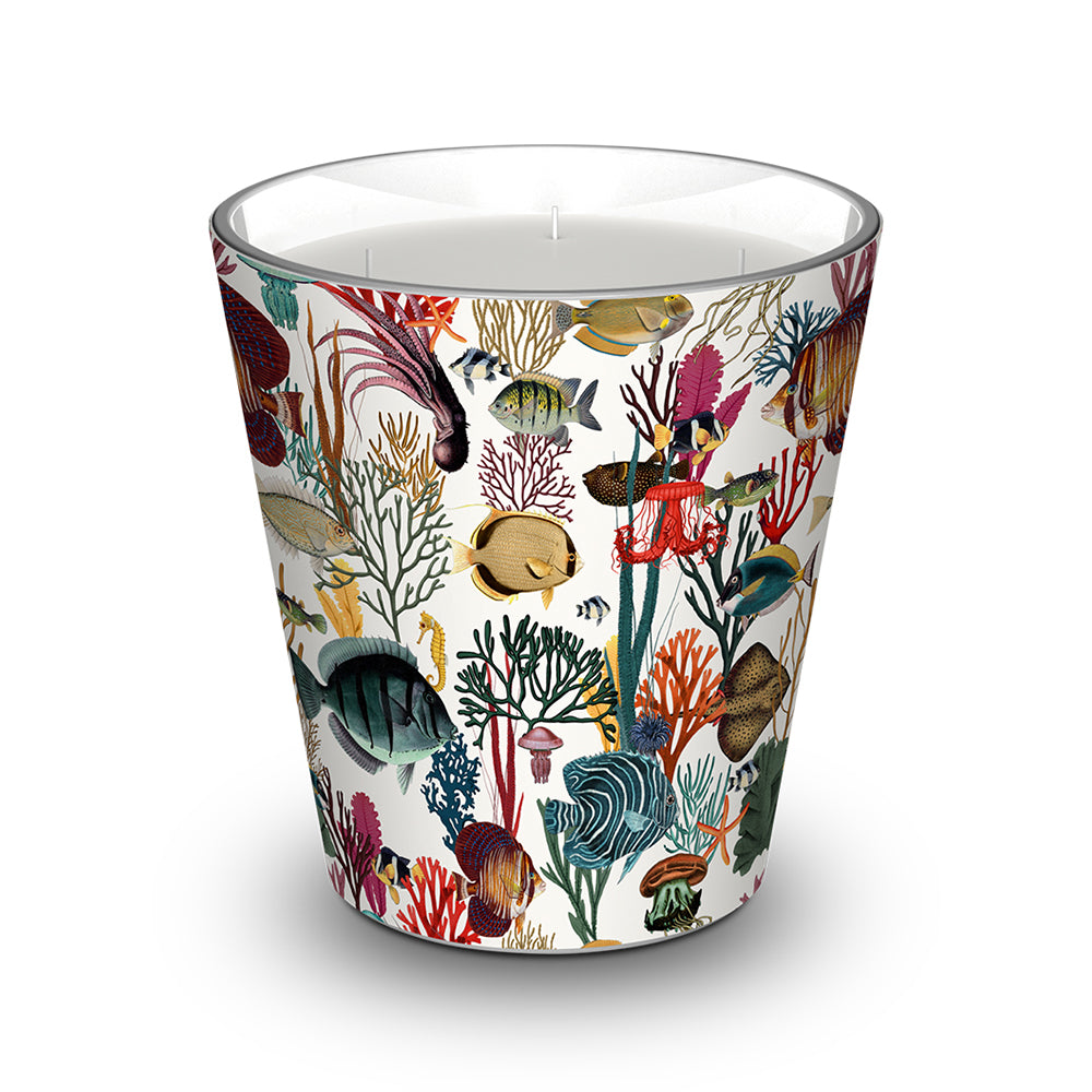 Mirateca scented candle - Patchouli / Cedar / Vanilla