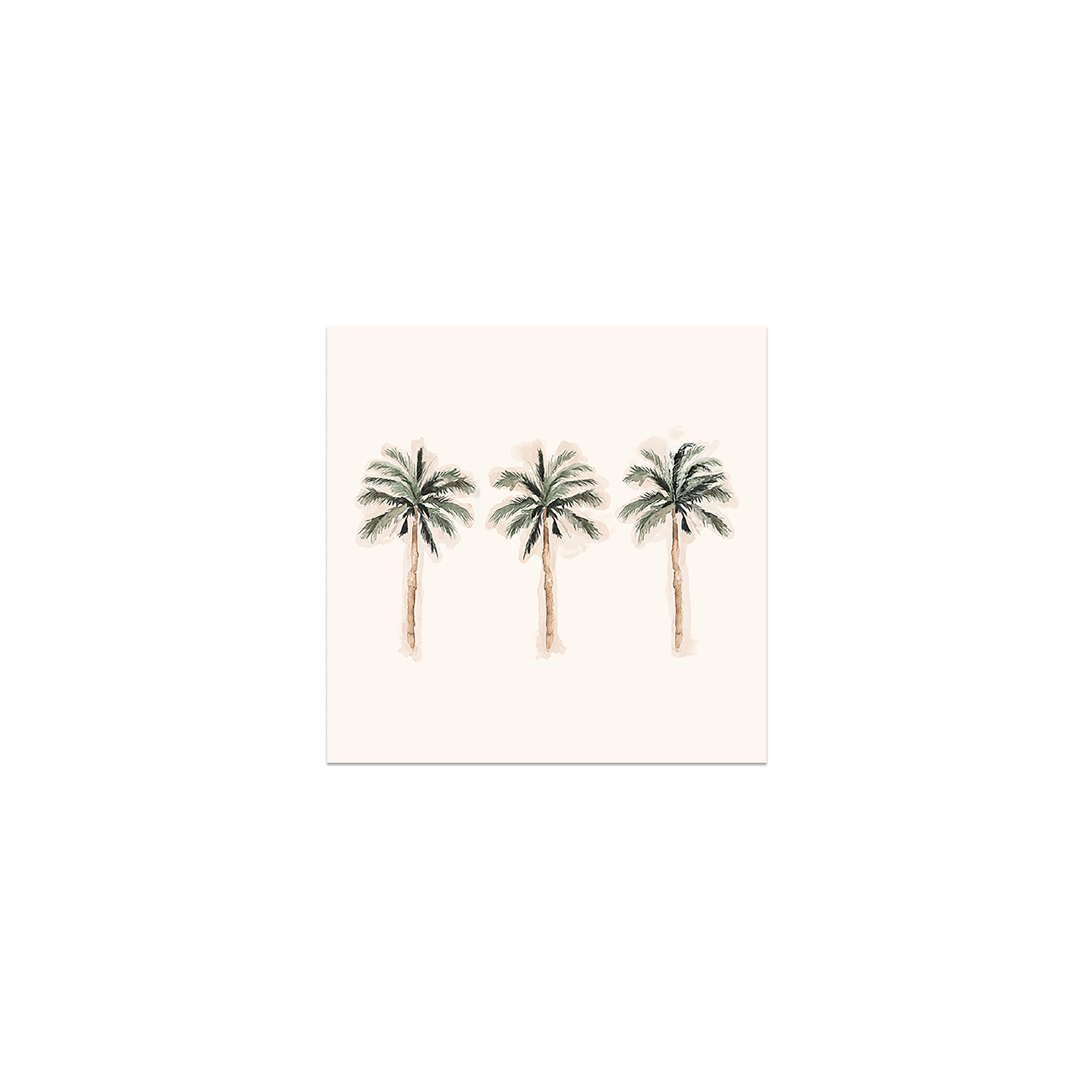 Lot de 6 dessous de verre vinyle Coco