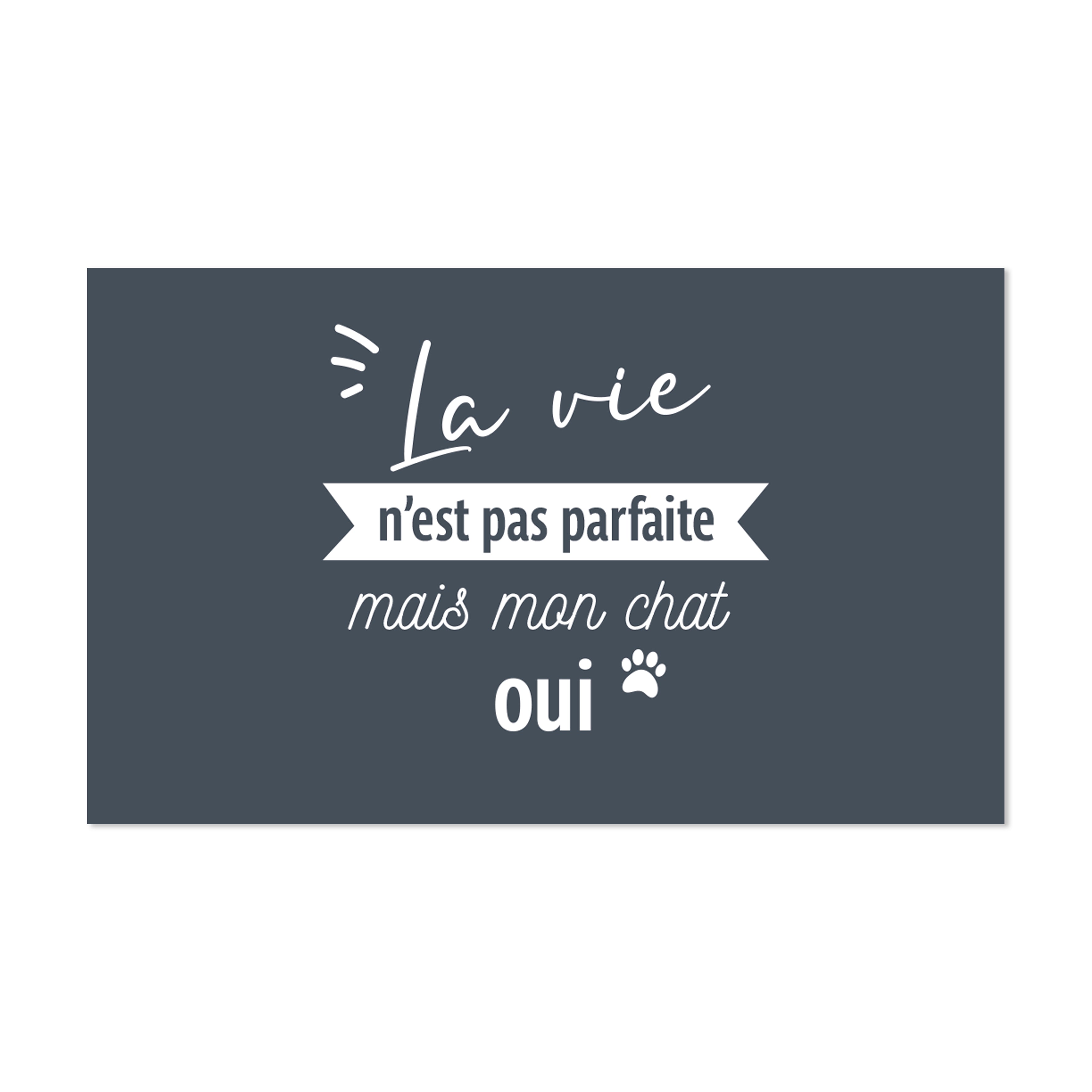 Tapis gamelle vinyle Perfect Cat