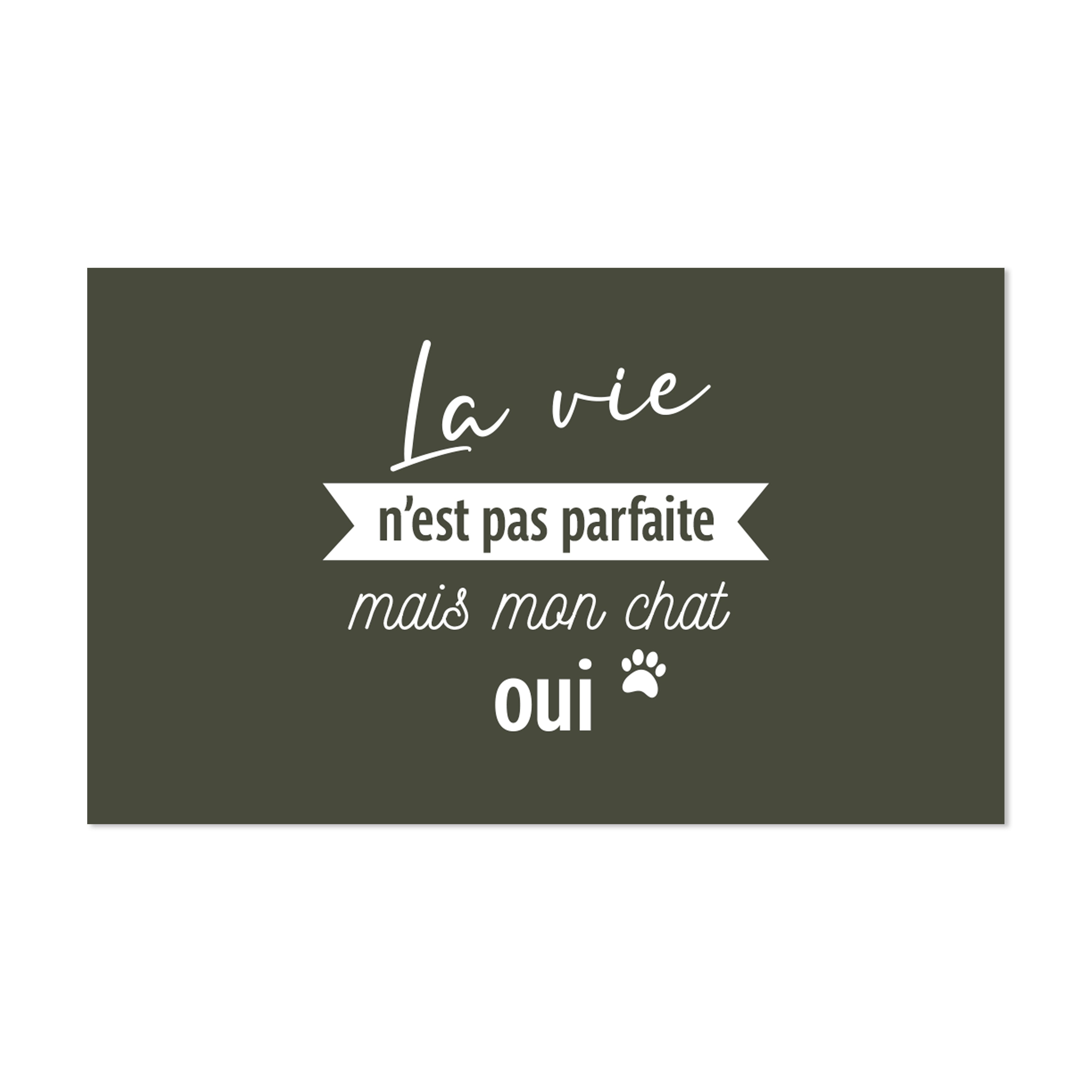 Tapis gamelle vinyle Perfect Cat