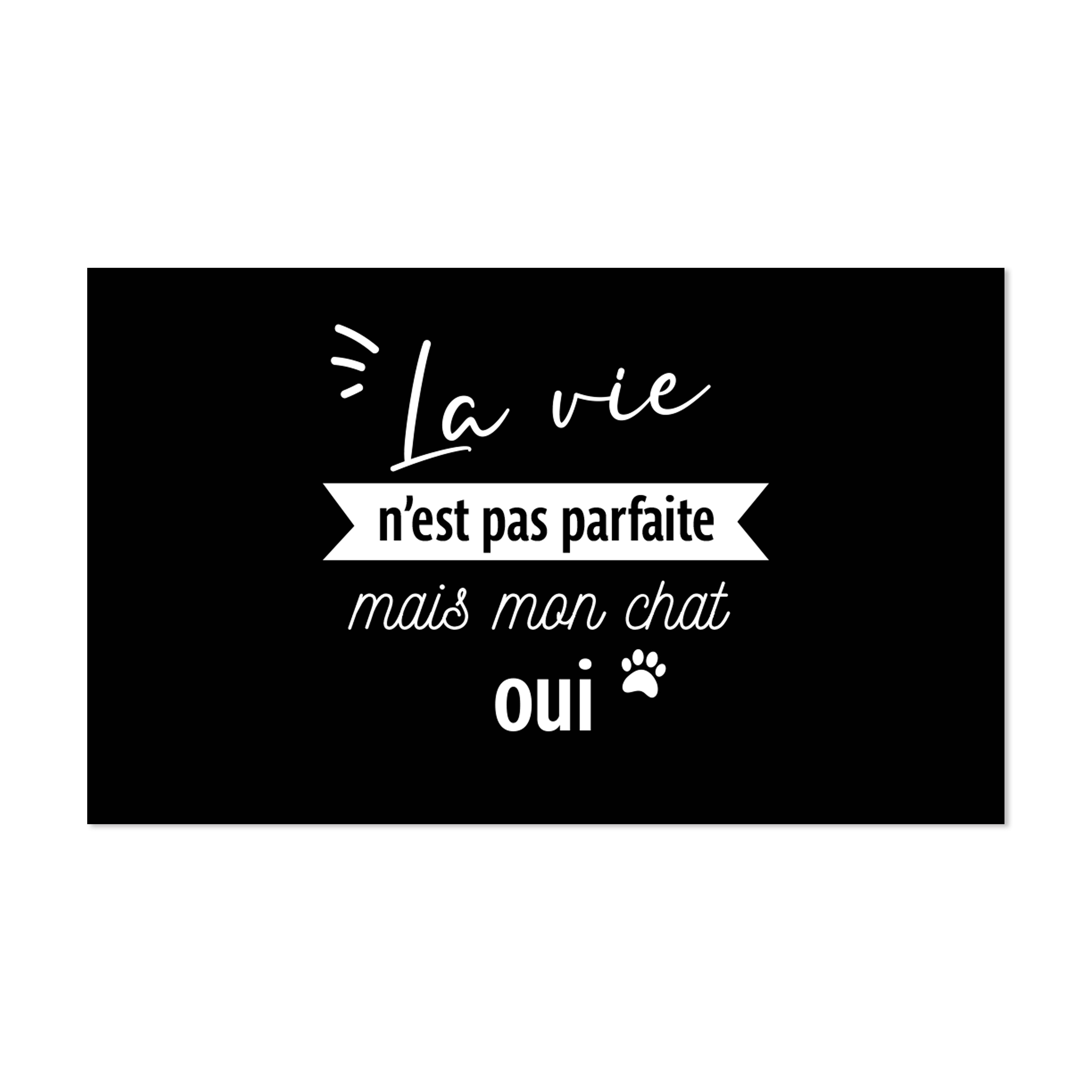 Tapis gamelle vinyle Perfect Cat