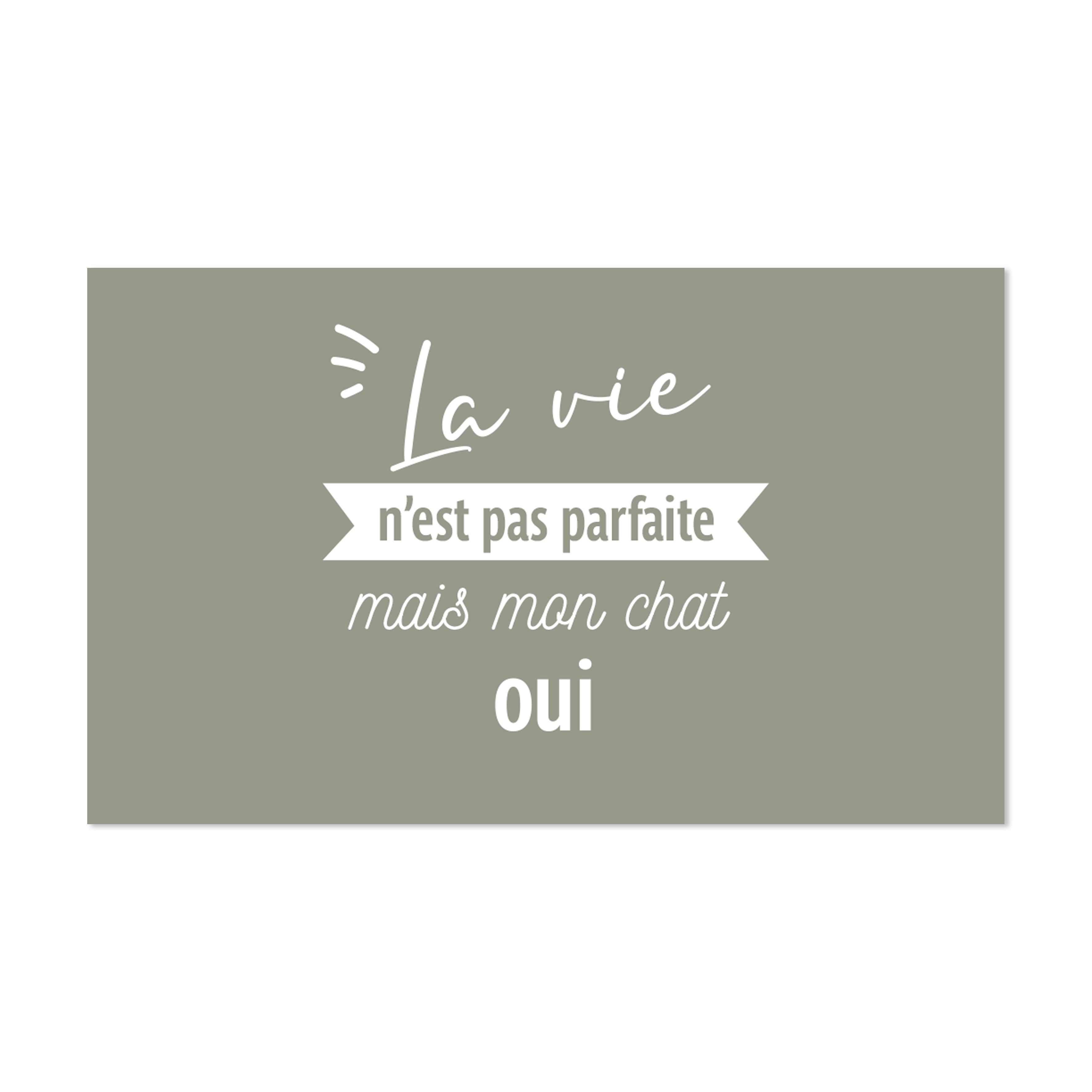 Tapis gamelle vinyle Perfect Cat