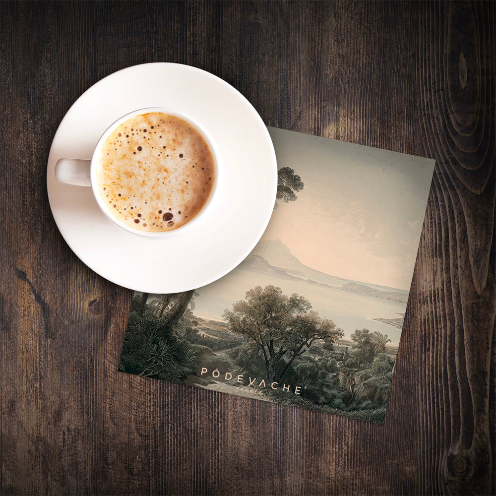 Lot De 6 Dessous De Verre Vinyle Jungle Rajapur