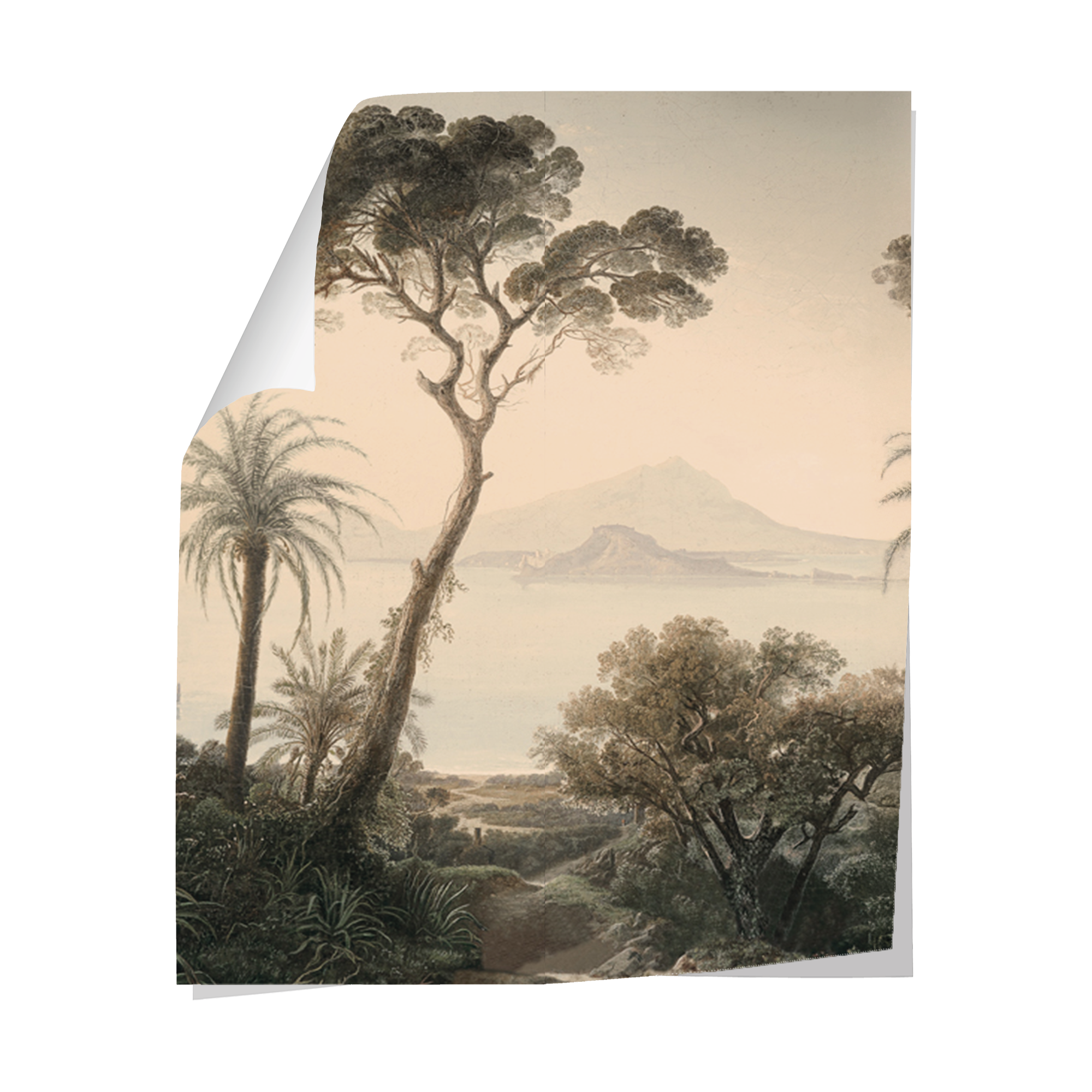 Papier peint Rajapur