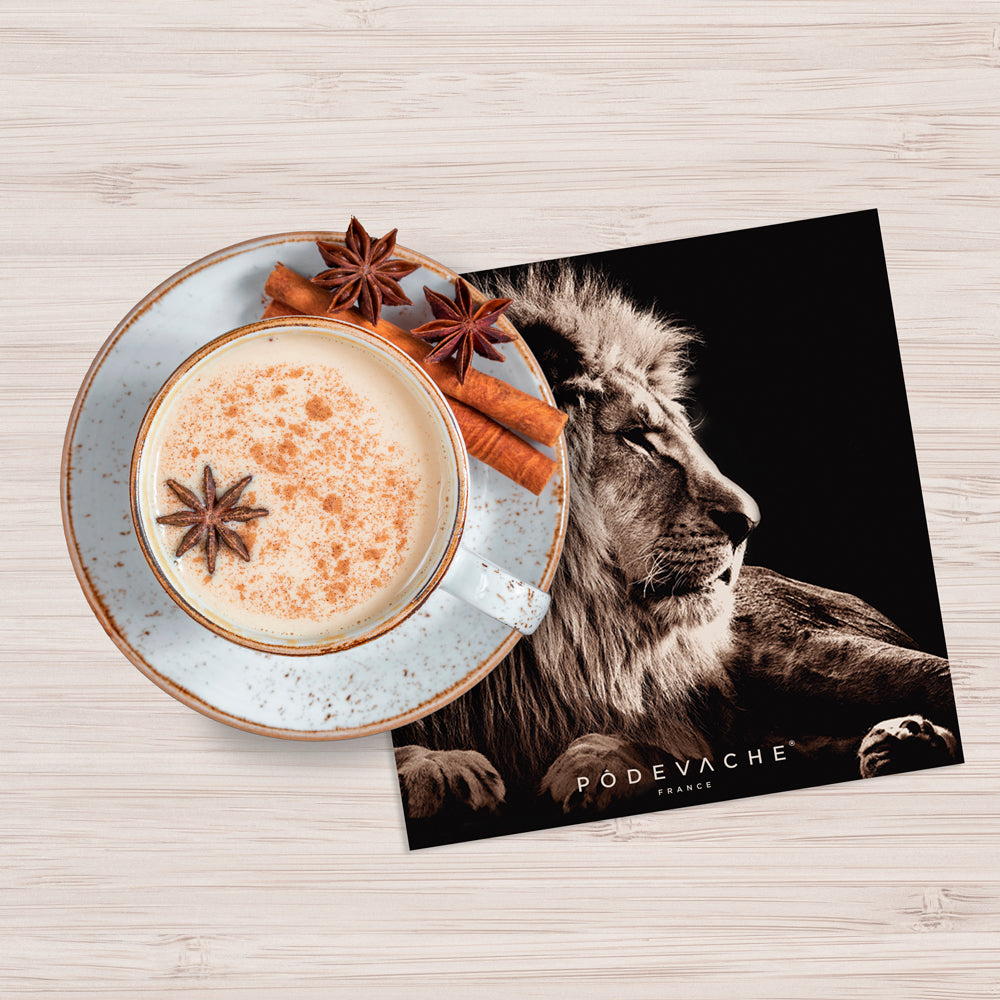 Lot de 6 dessous de verre vinyle Niono