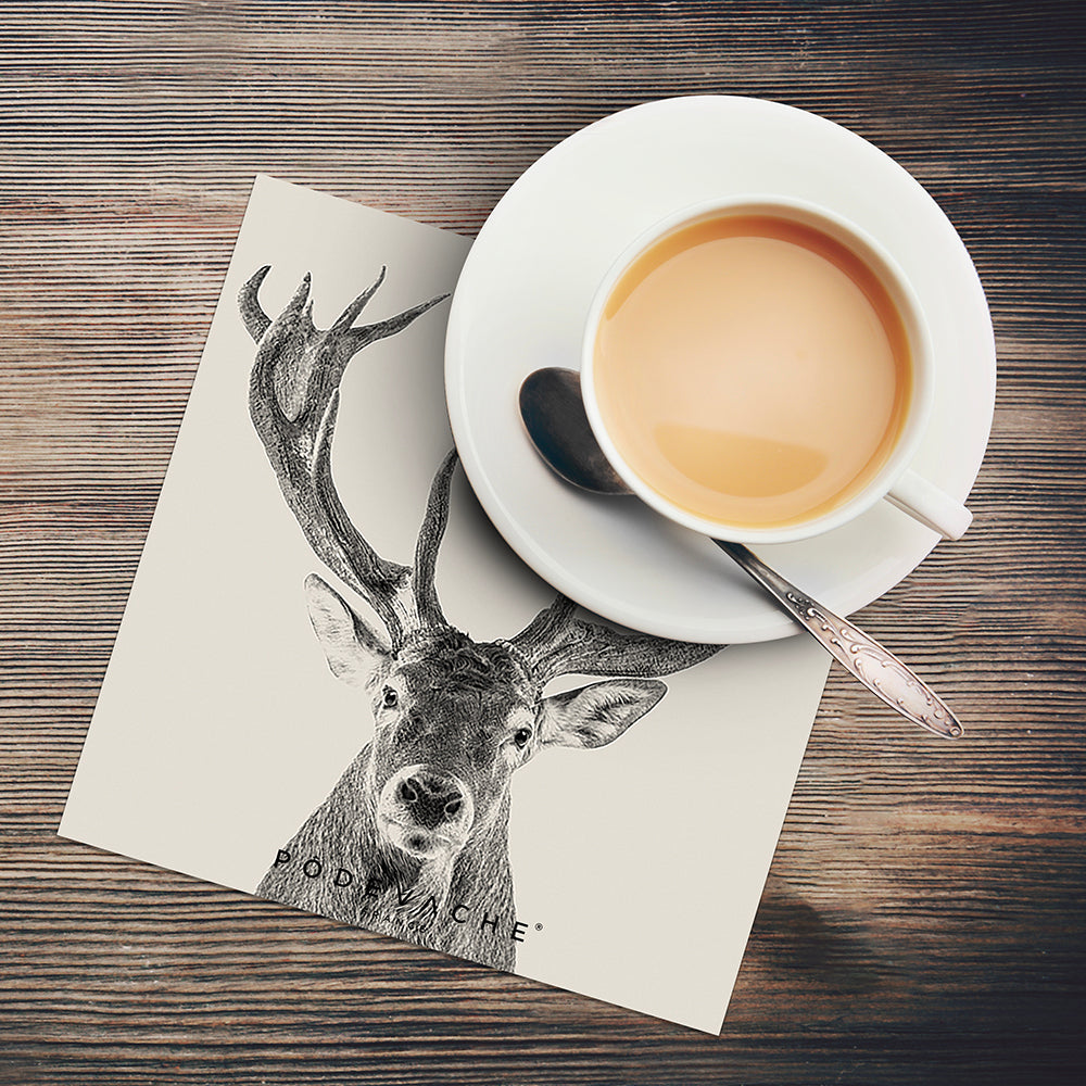 Set of 6 Ambler vinyl coasters