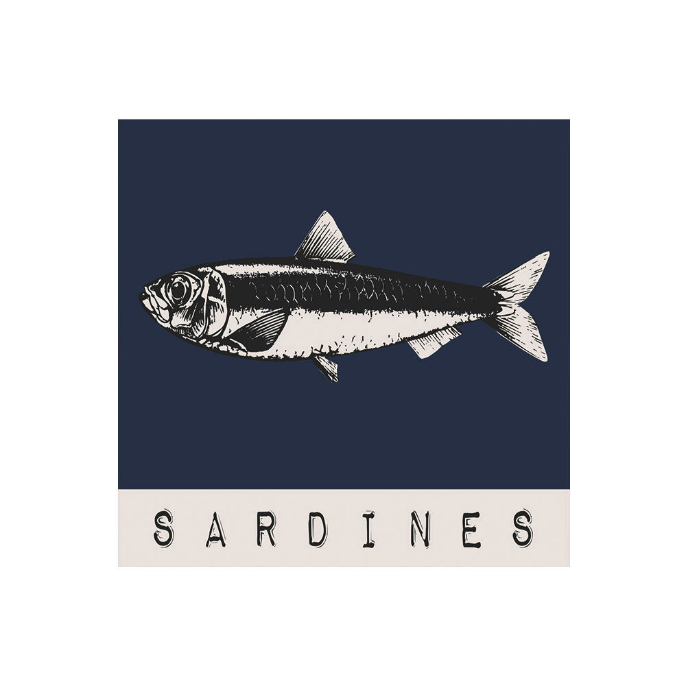 Lot de 6 dessous de verre vinyle Patos