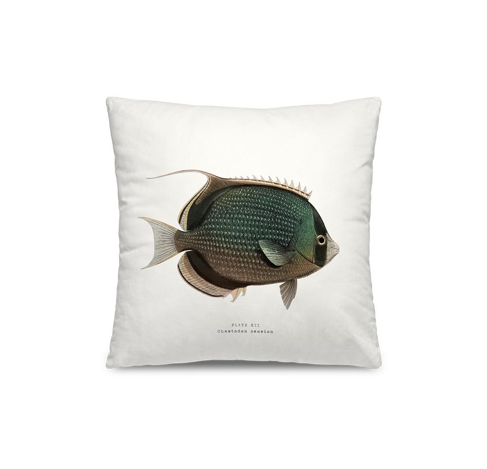 Heis outdoor cushion