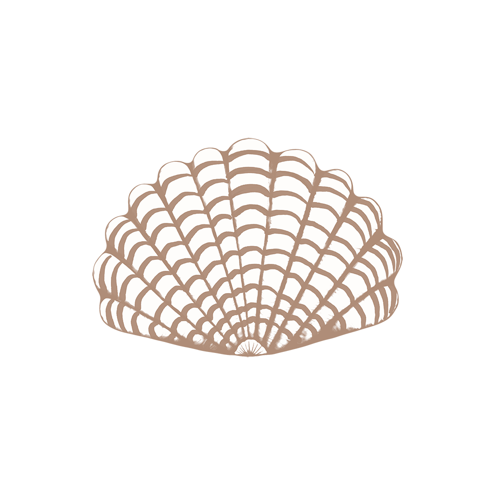 Lot de 6 dessous de verre vinyle Coffa