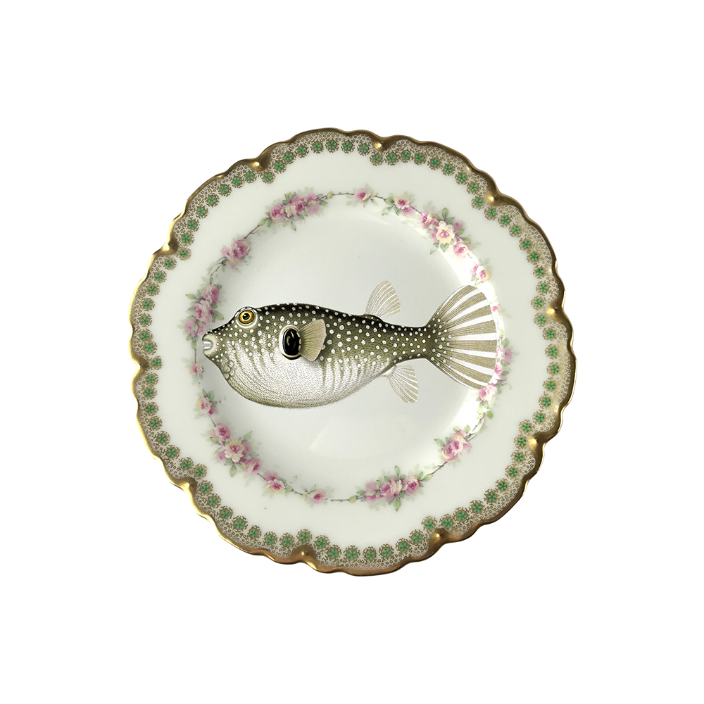 Lot de 6 dessous de verre vinyle Noori