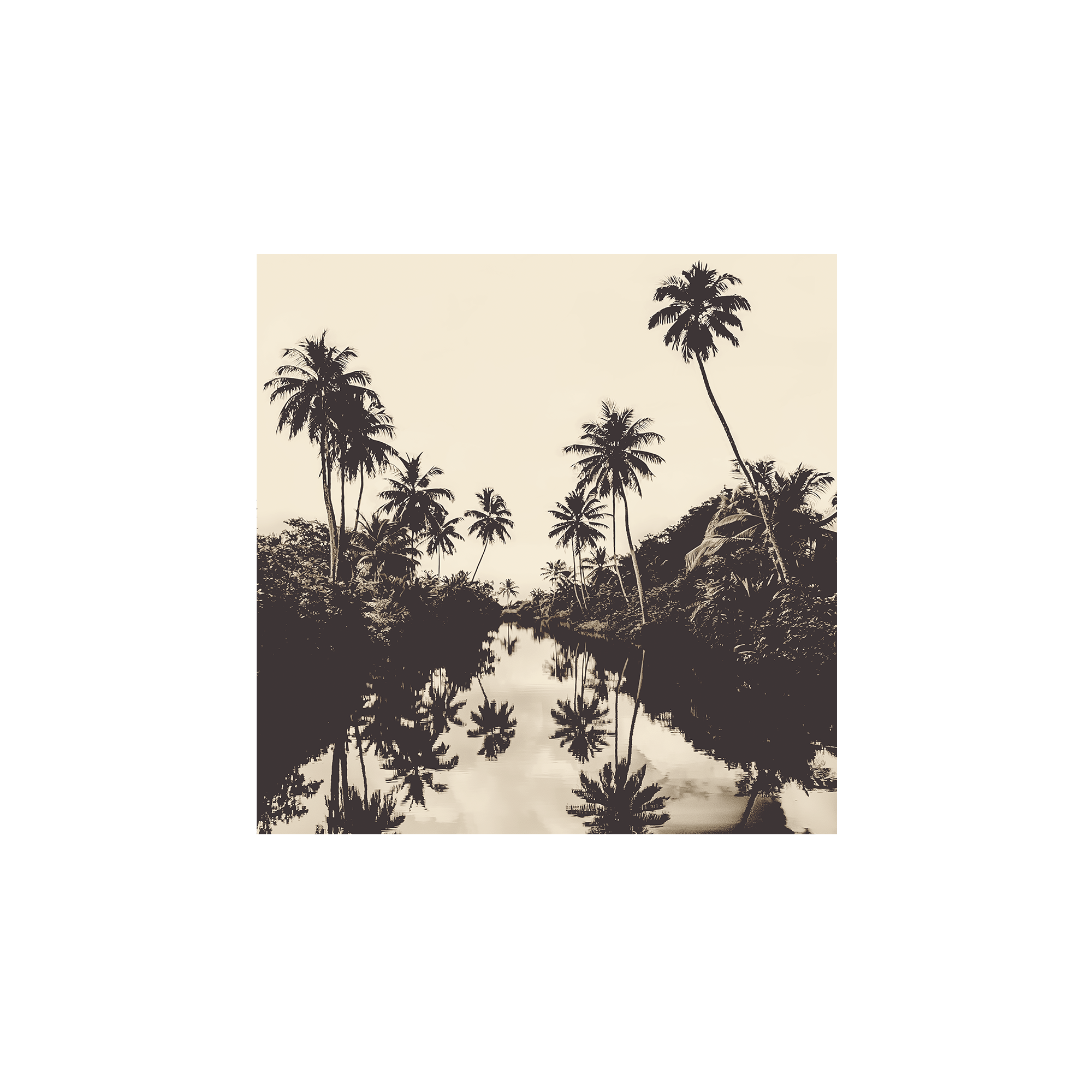 Lot de 6 dessous de verre vinyle Equateur