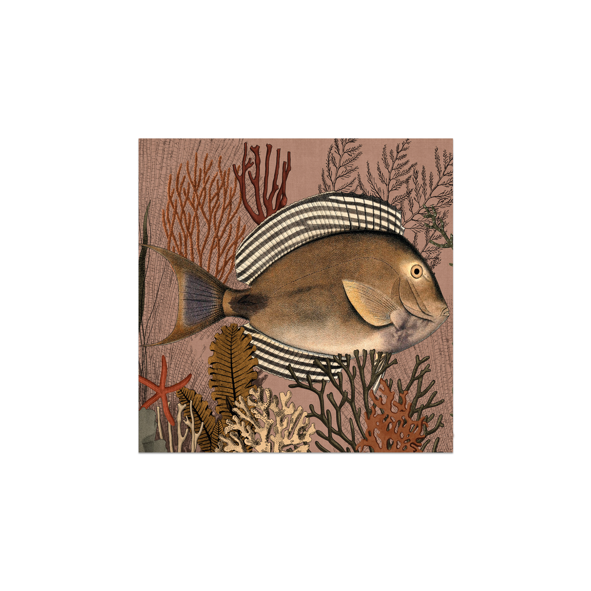 Lot de 6 dessous de verre vinyle Pangui