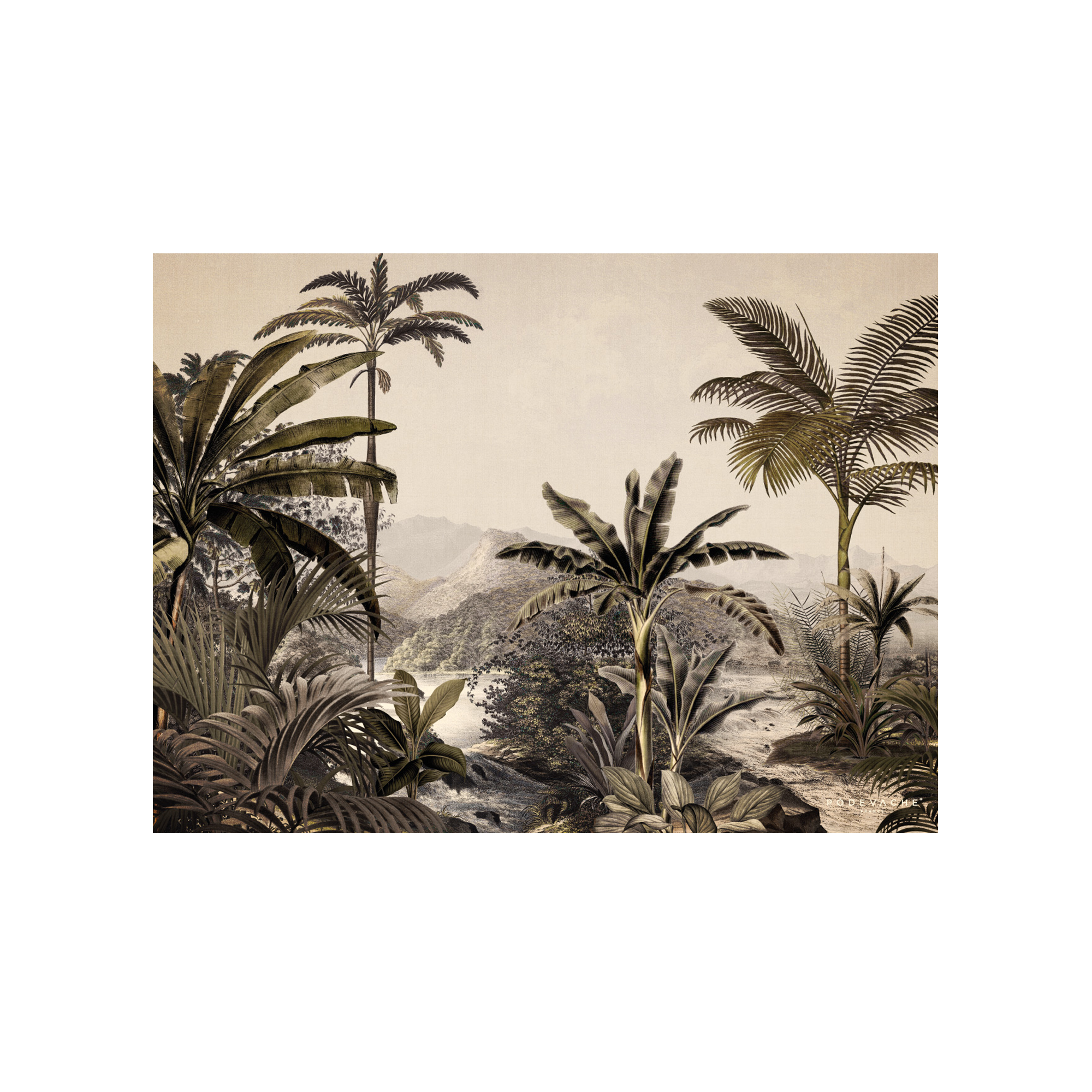 Set De Table Vinyle Jungle Pembi