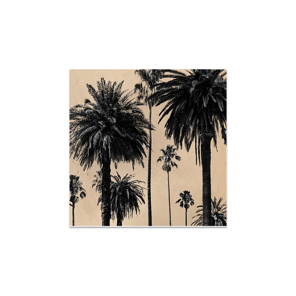 Lot de 6 dessous de verre vinyle Paloma