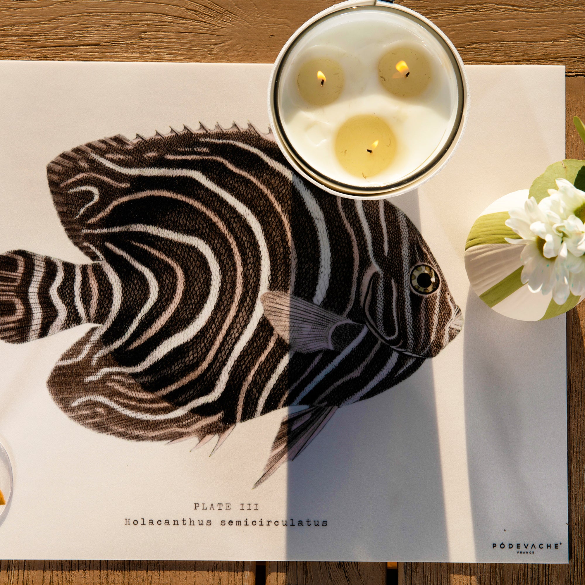 Set de table vinyle Fossette