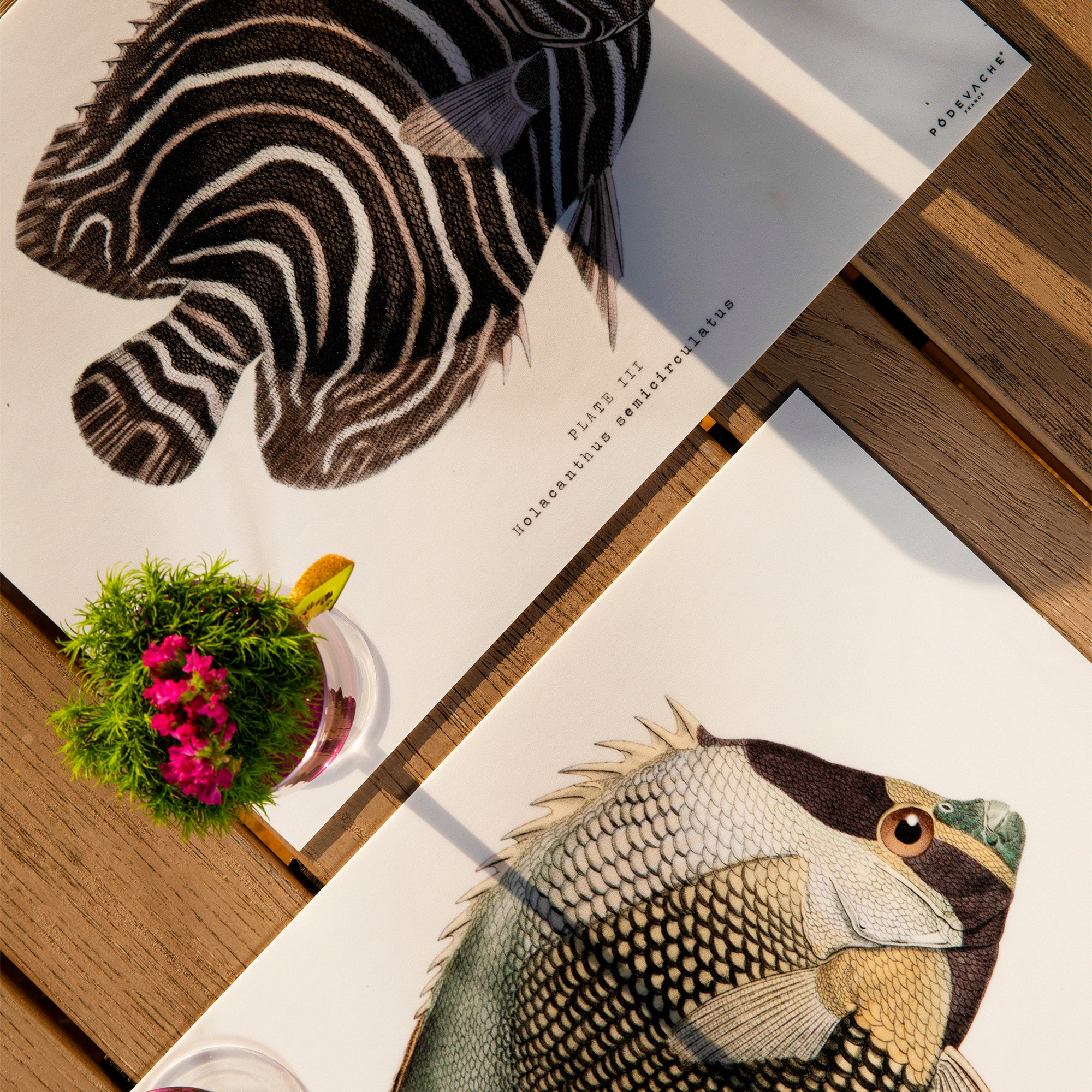 Set de table vinyle Bena