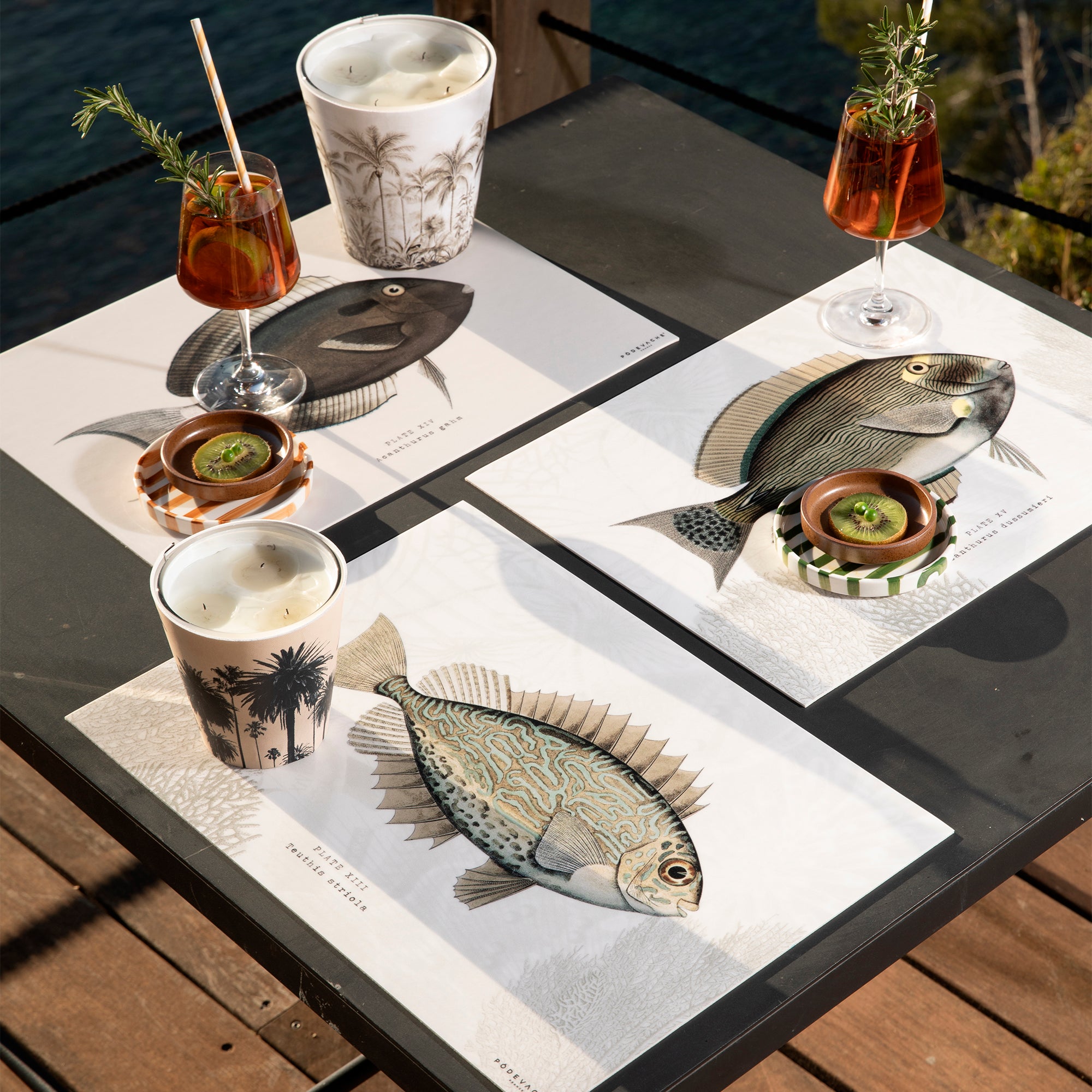 Set de table vinyle Anglade