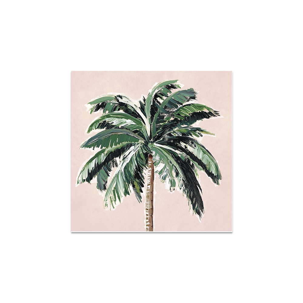 Lot de 6 dessous de verre vinyle Kon Tiki