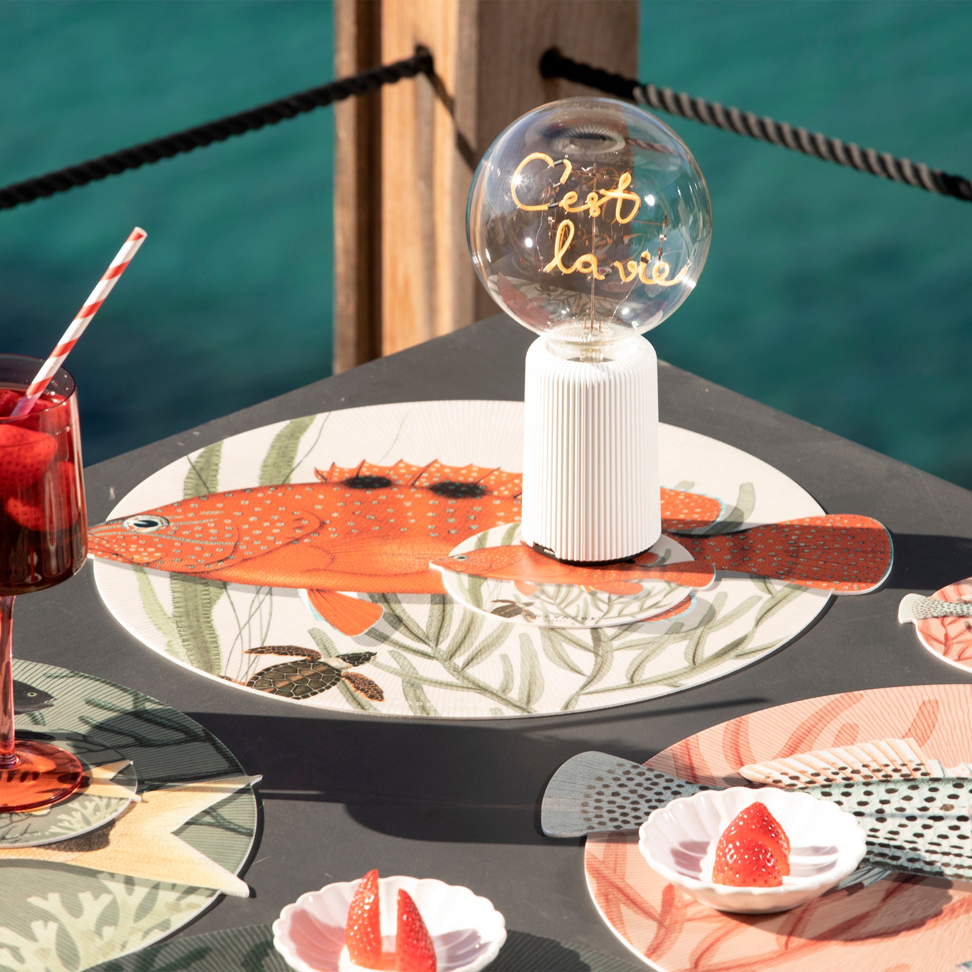 Set de table vinyle Canebier