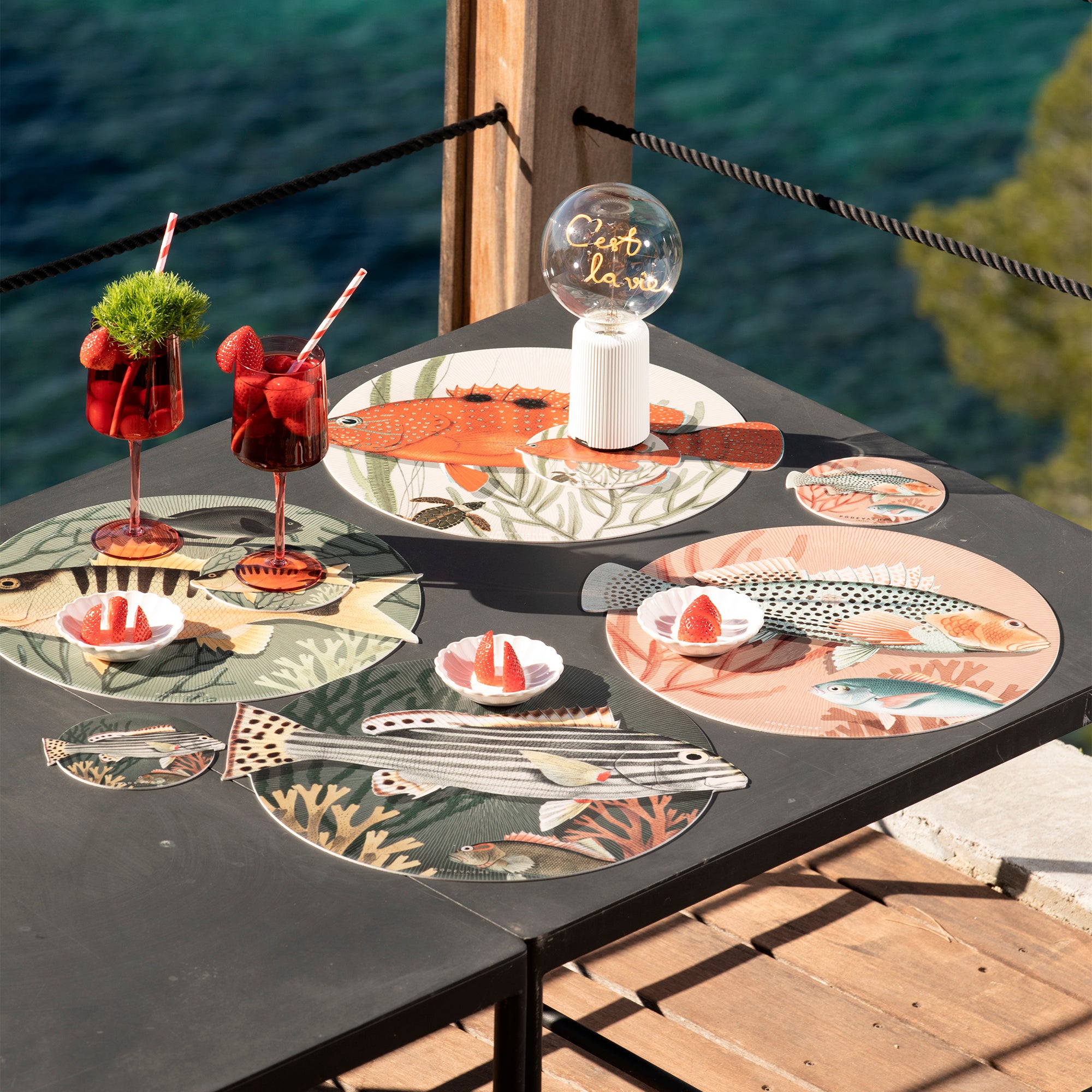 Set de table vinyle Bagary