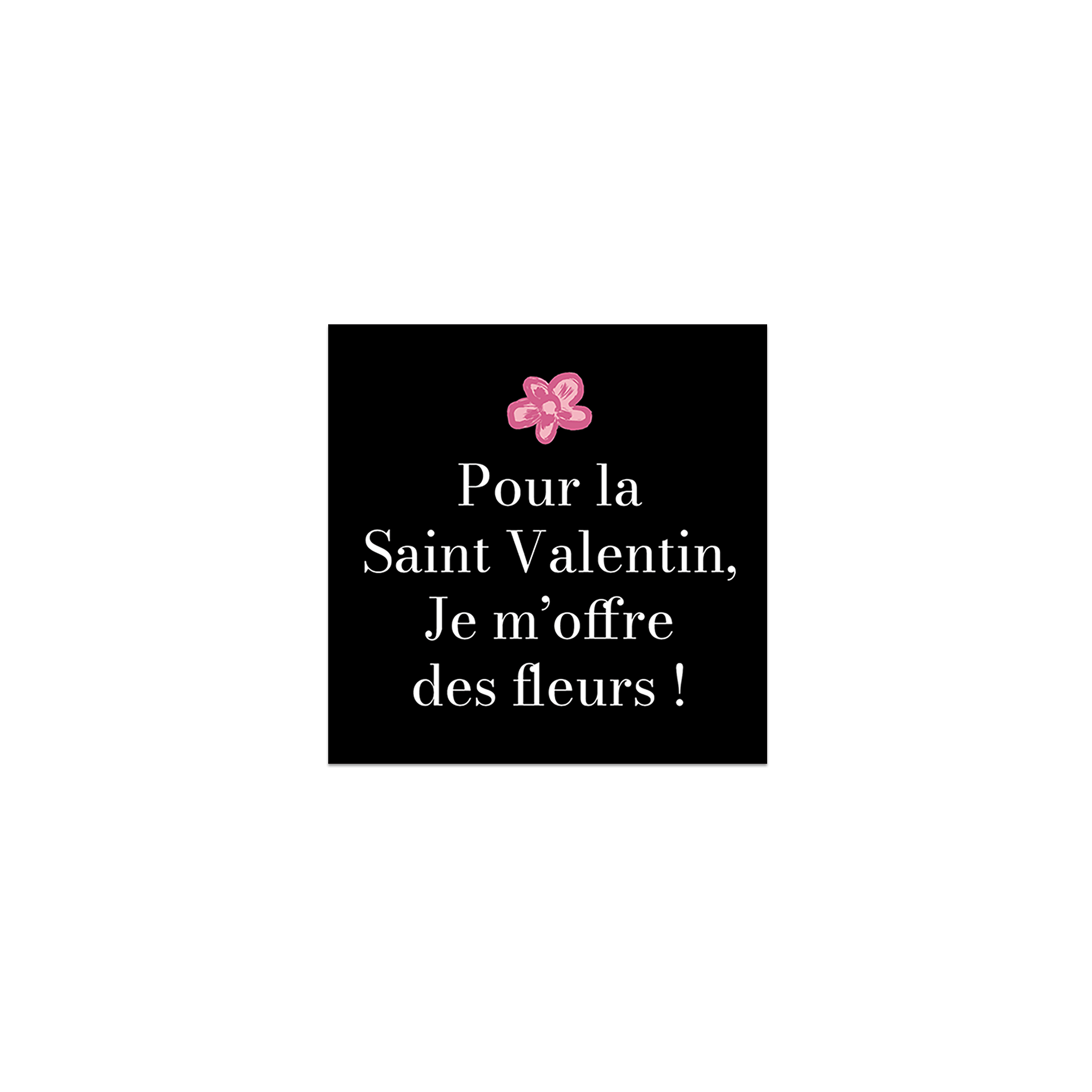 Lot de 6 dessous de verre vinyle Floro