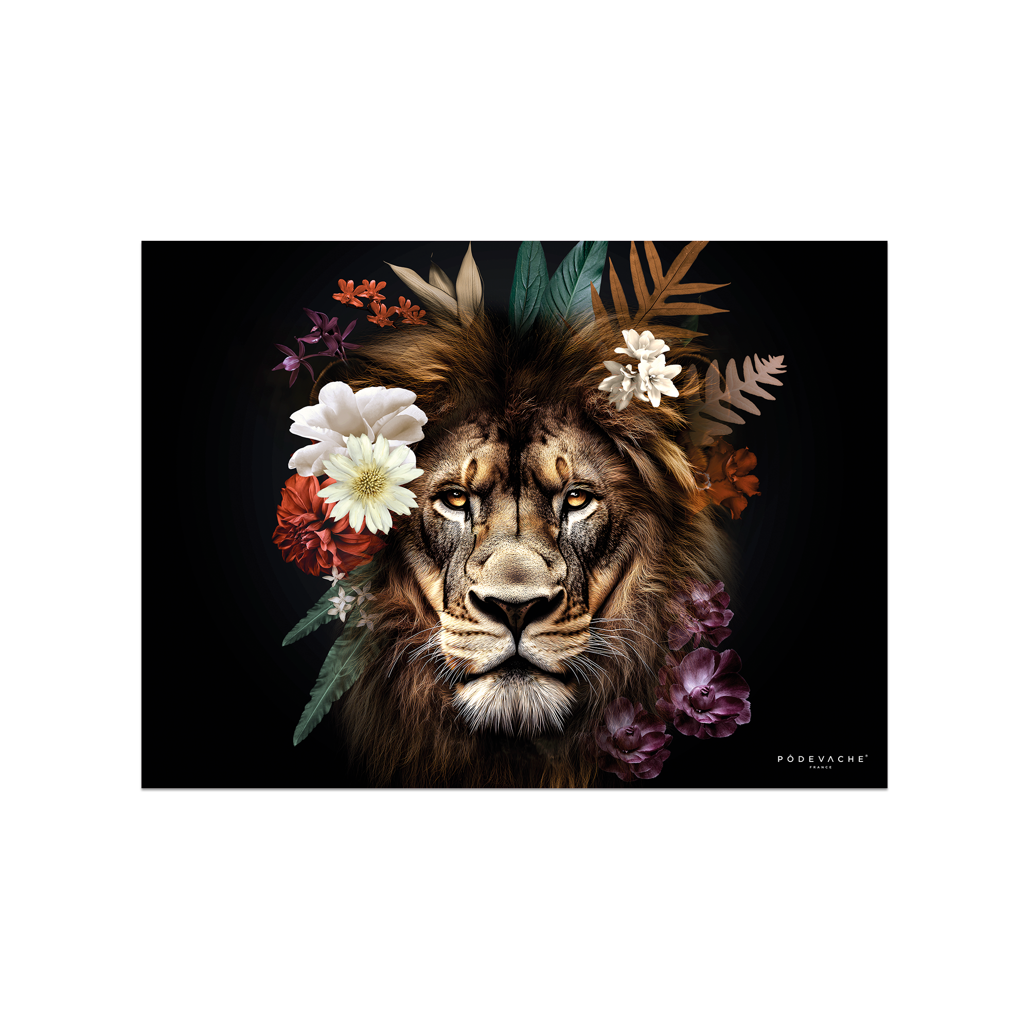 Set De Table Vinyle Lion Montepulciano