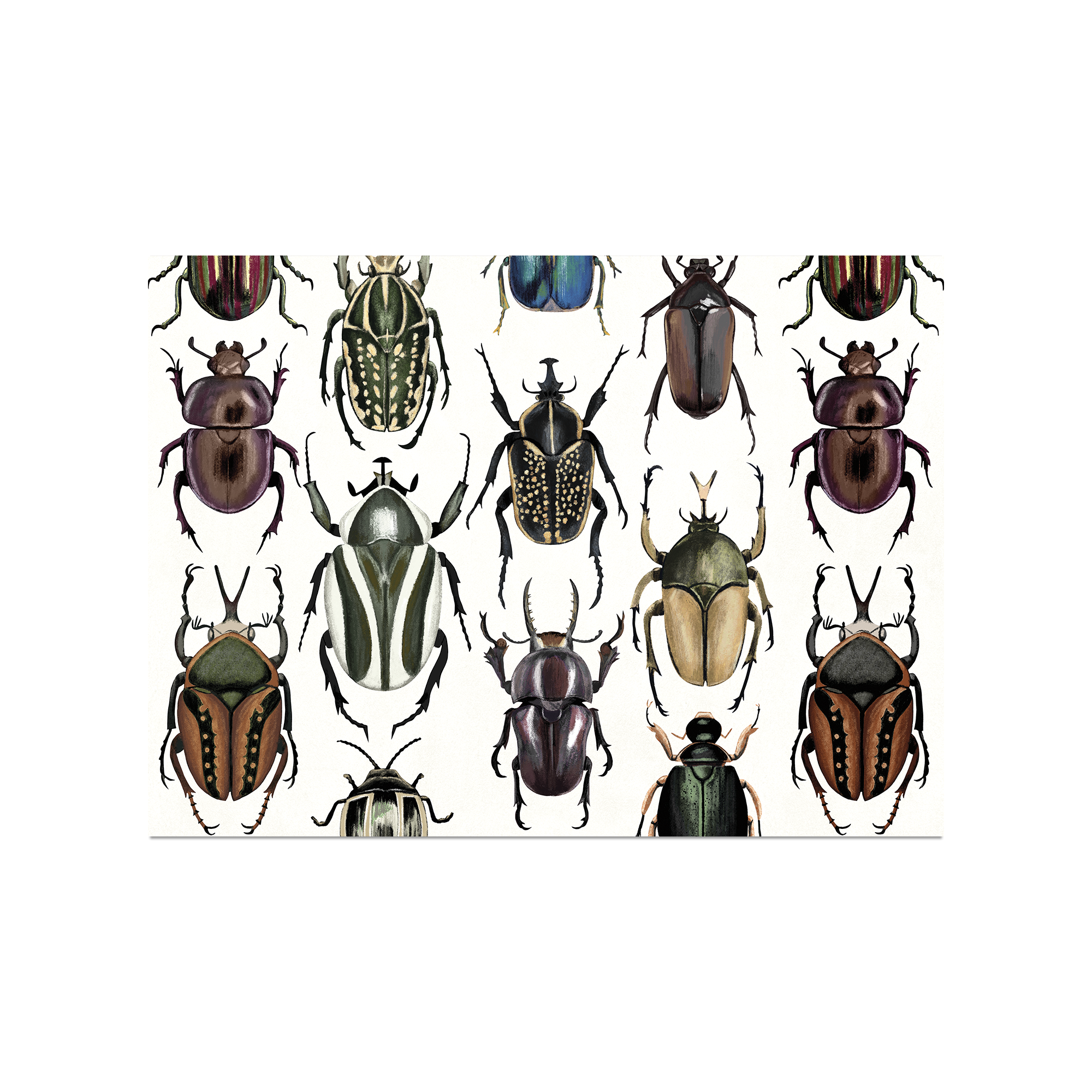 Set de table vinyle Arezzo