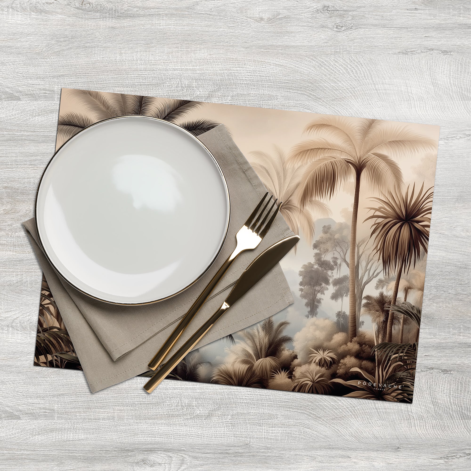 Set De Table Vinyle Jungle Bruniquel