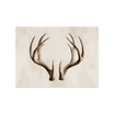 Set De Table Vinyle Cerf Sils Maria