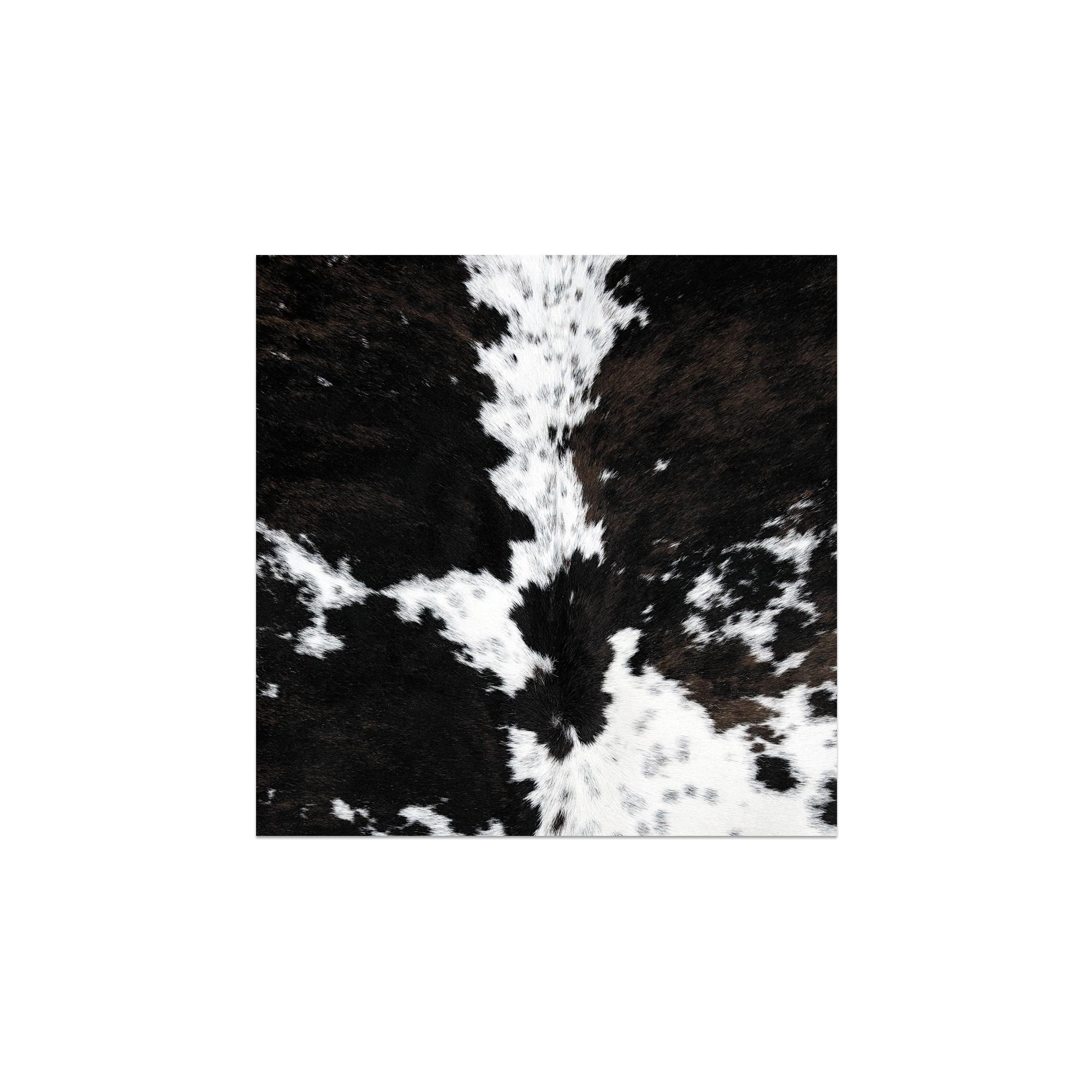 Lot De 6 Dessous De Verre Vinyle Peau De Vache Wengen