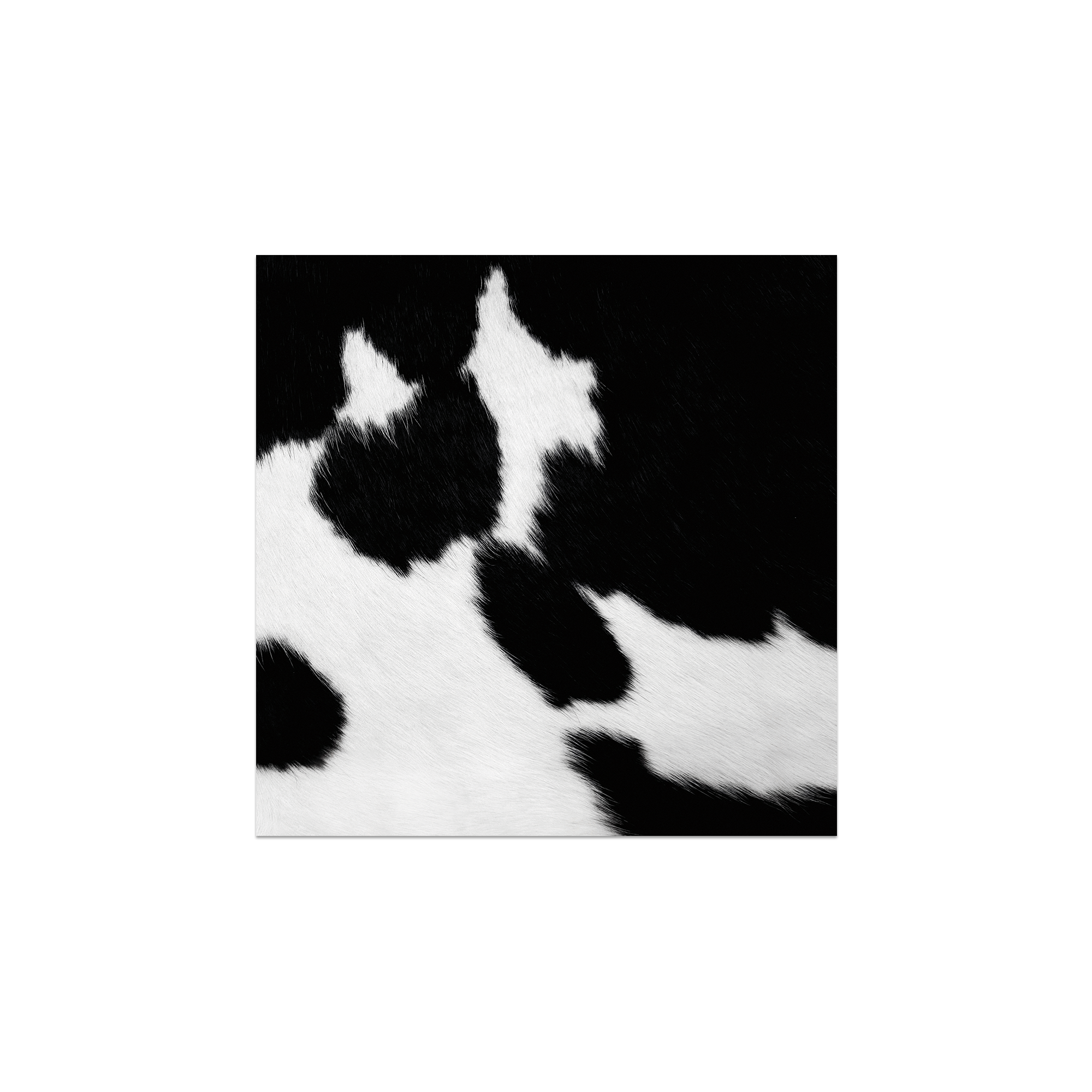 Lot De 6 Dessous De Verre Vinyle Peau De Vache Molveno