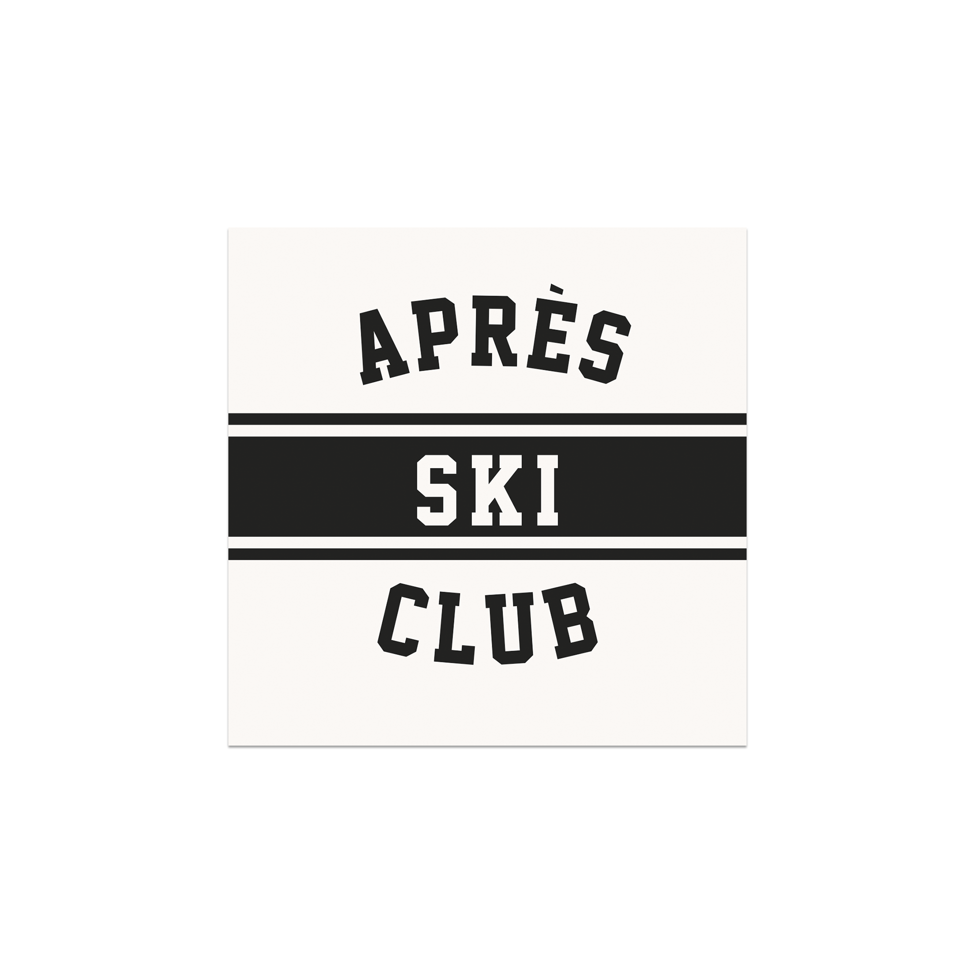 Lot De 6 Dessous De Verre Vinyle Ski Megève