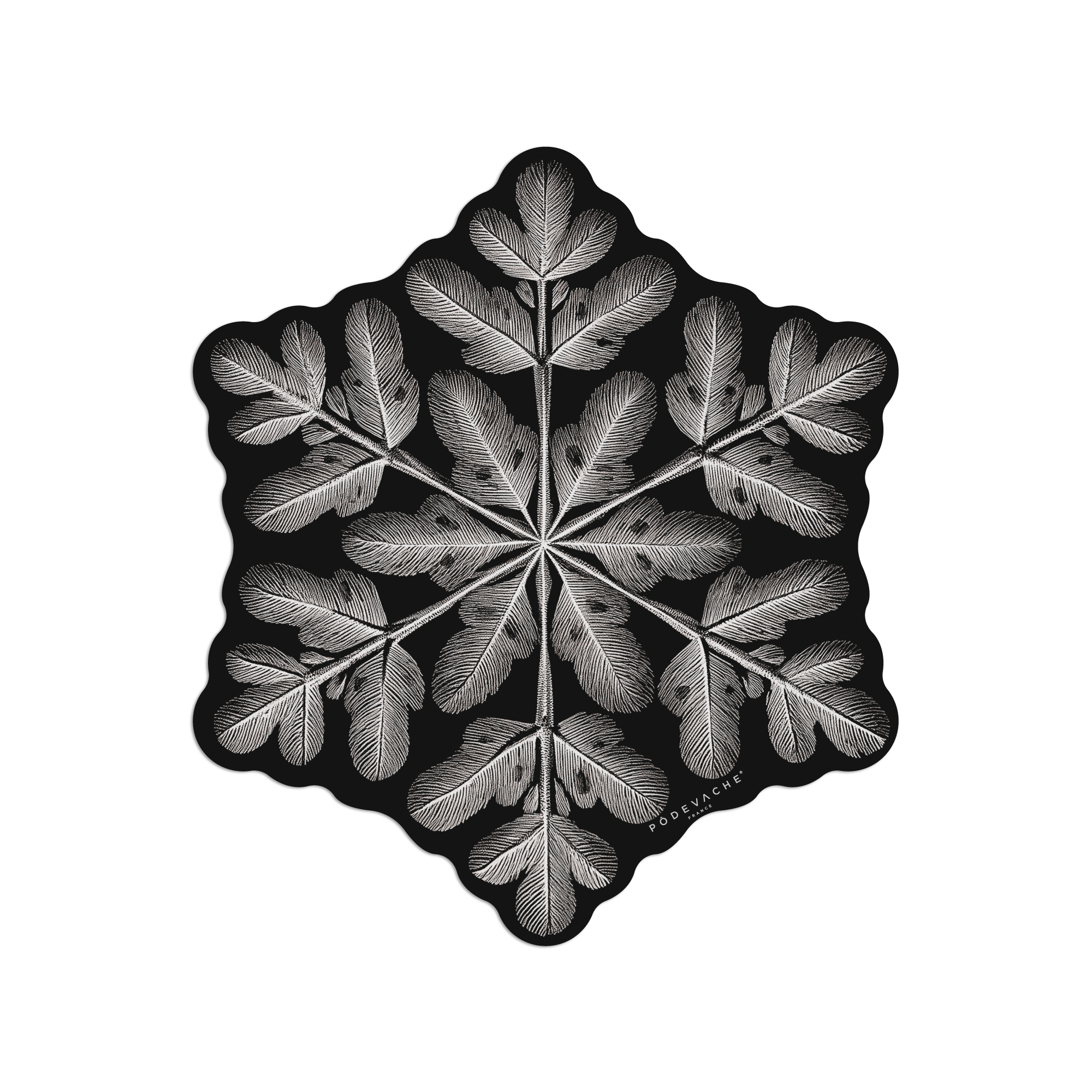 Set De Table Vinyle Flocon Dendrite Argenté