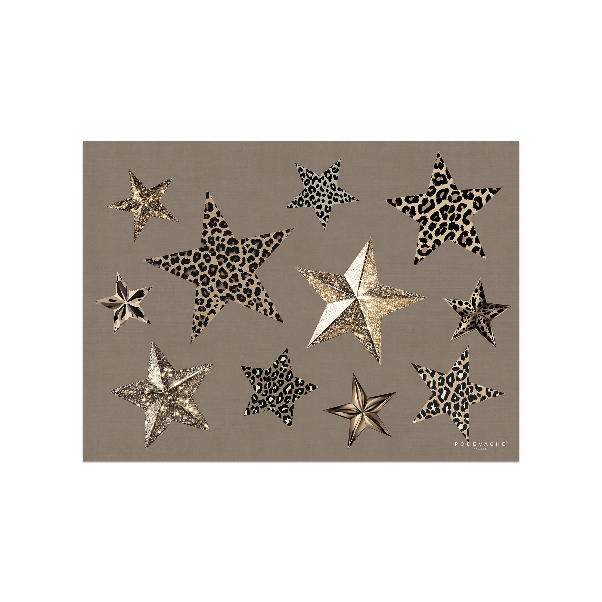 Set De Table Vinyle Noël Kraft Étoiles Léopard