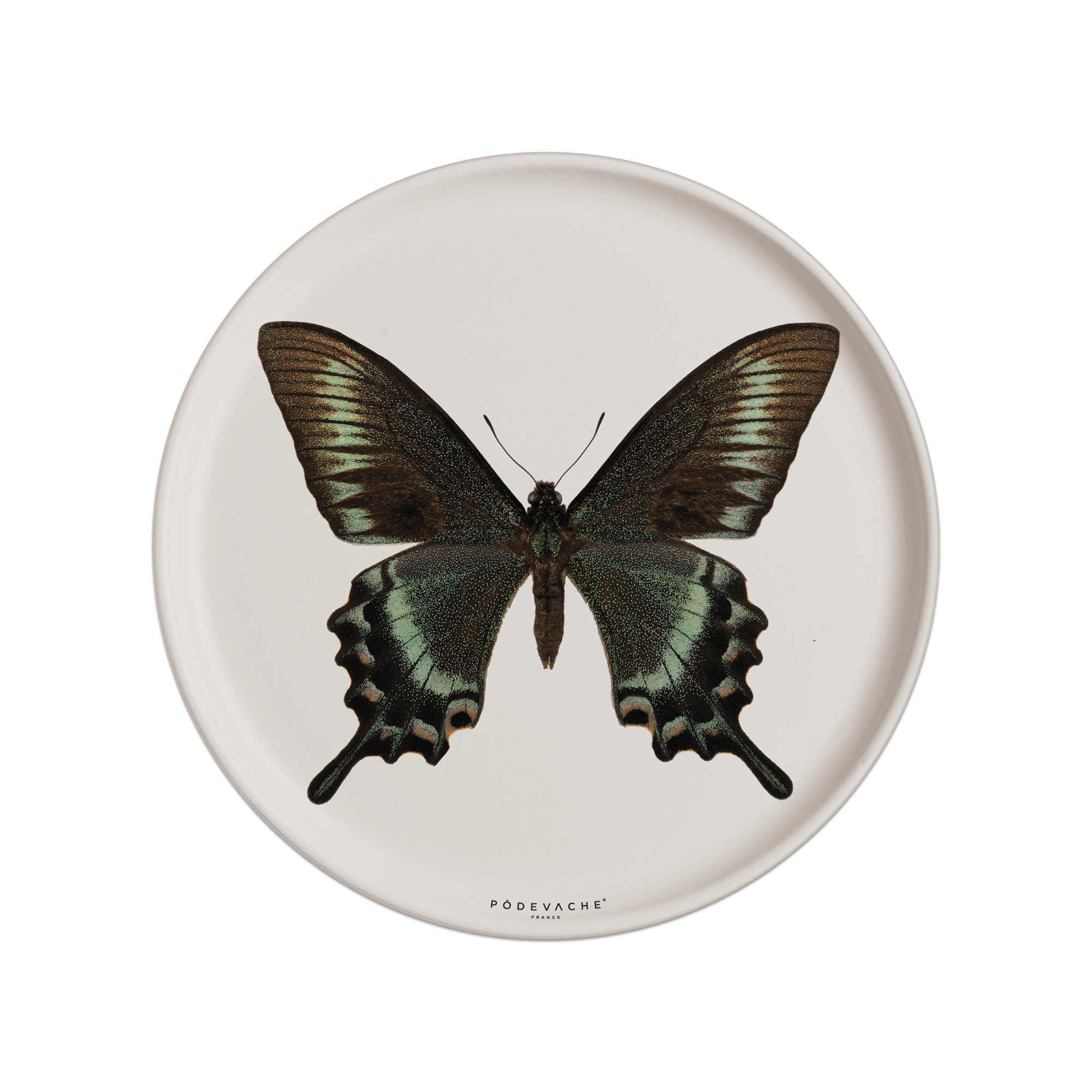 Set De Table Vinyle Papillon Machaon