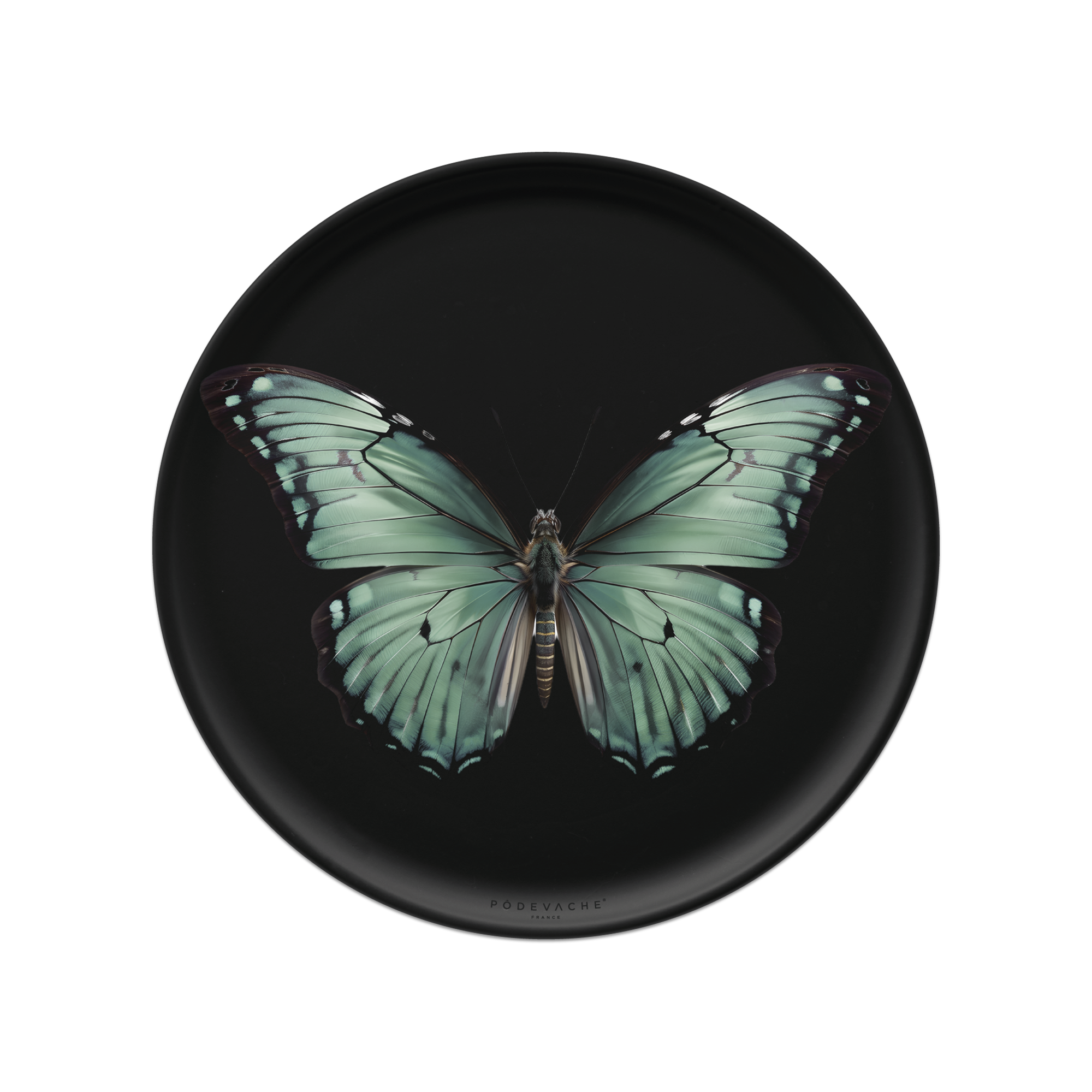 Set De Table Vinyle Papillon Pieride