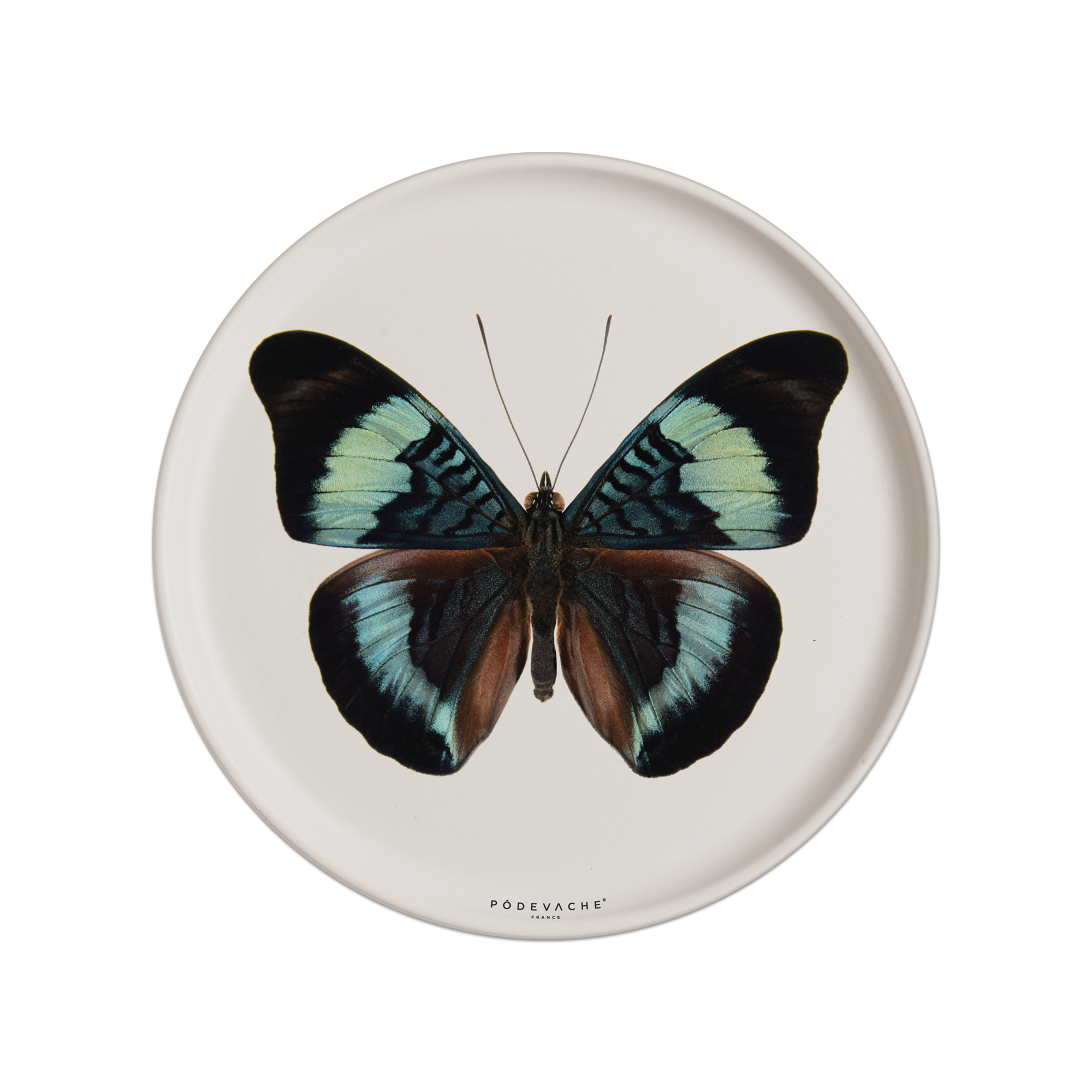 Set De Table Vinyle Papillon Thecla