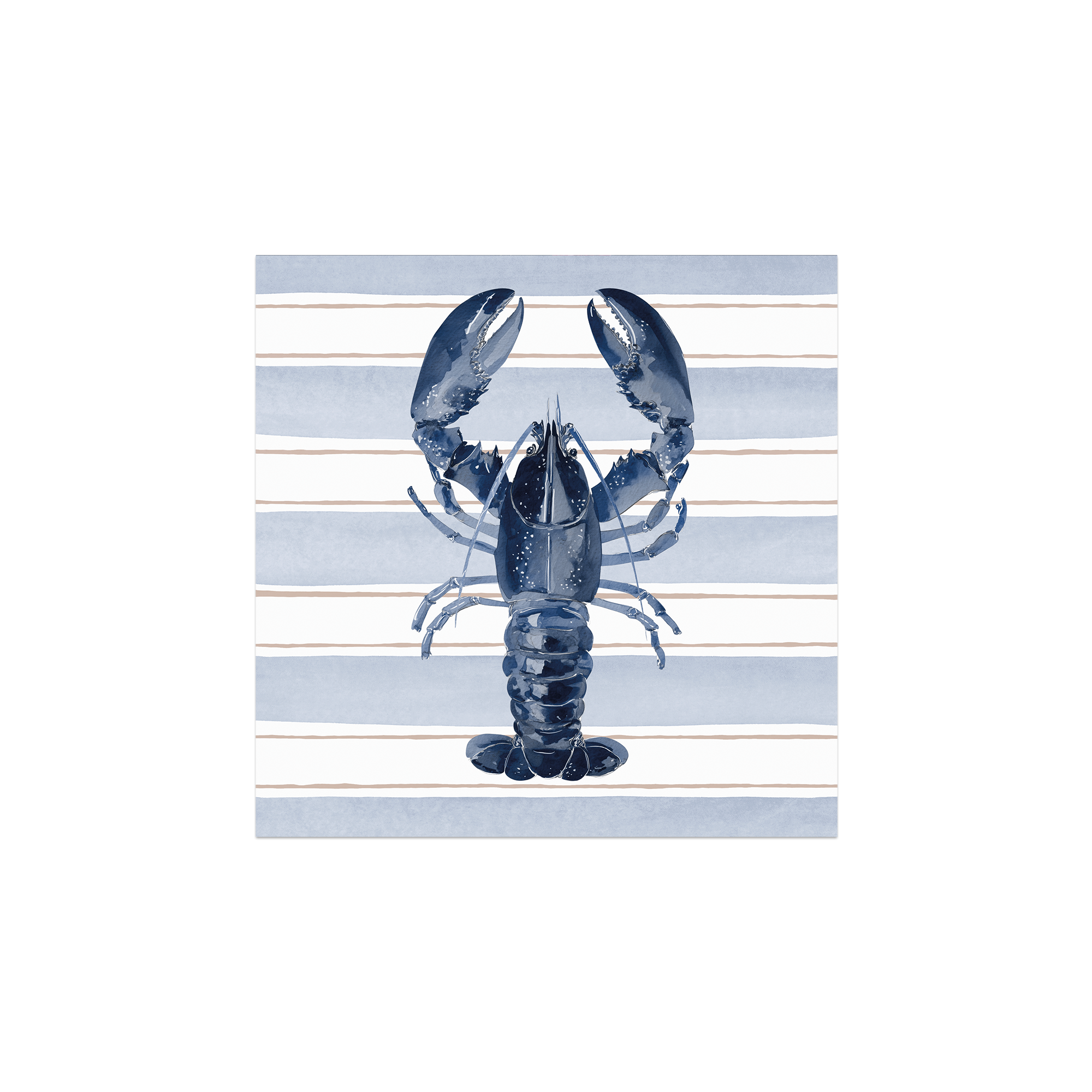 Lot de 6 dessous de verre vinyle Schinoussa