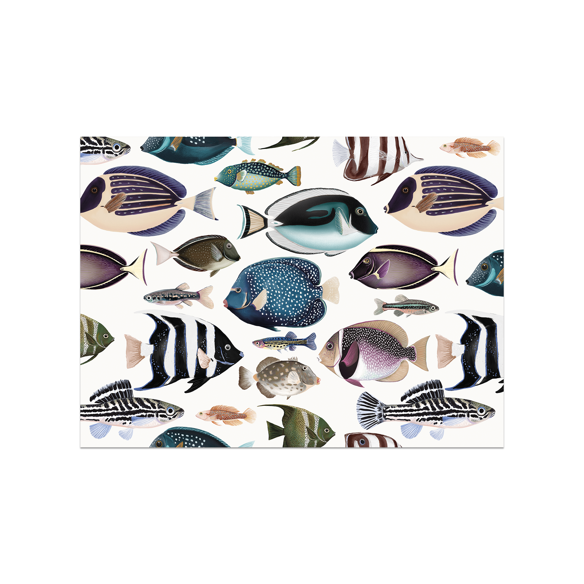 Set De Table Vinyle Zacapa