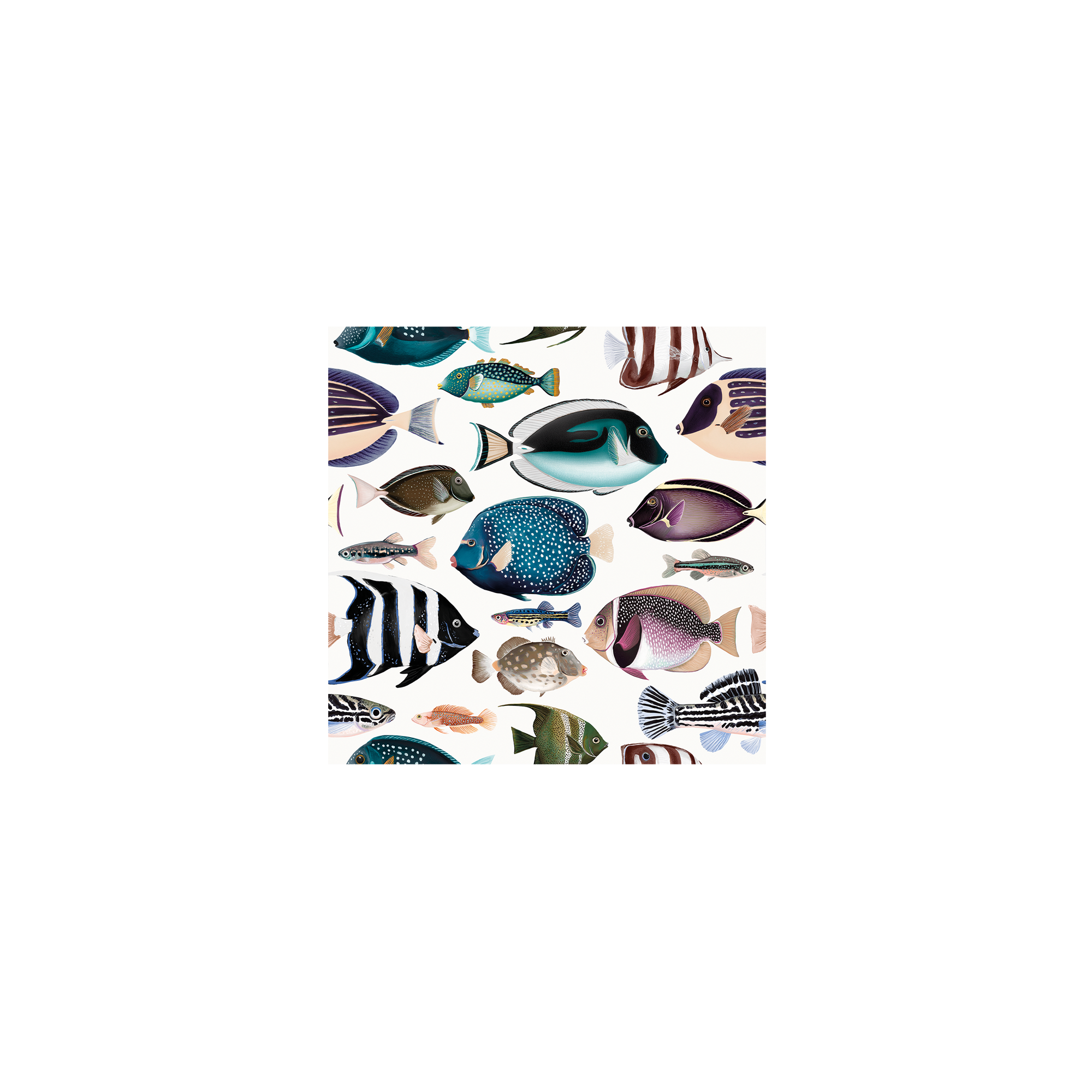 Lot de 6 dessous de verre vinyle Zacapa