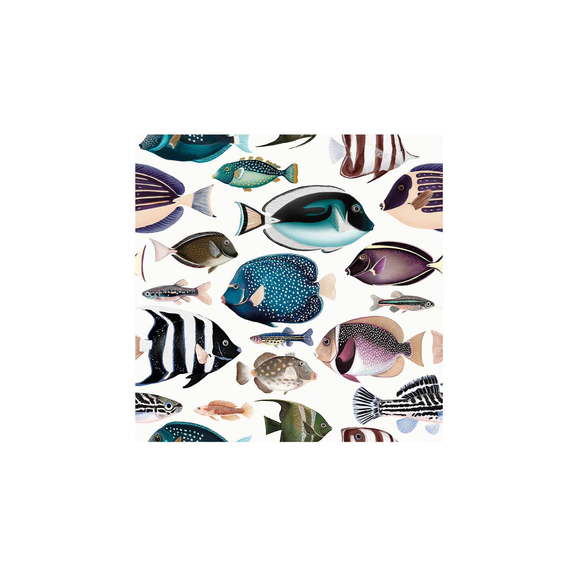 Lot de 6 dessous de verre vinyle Zacapa