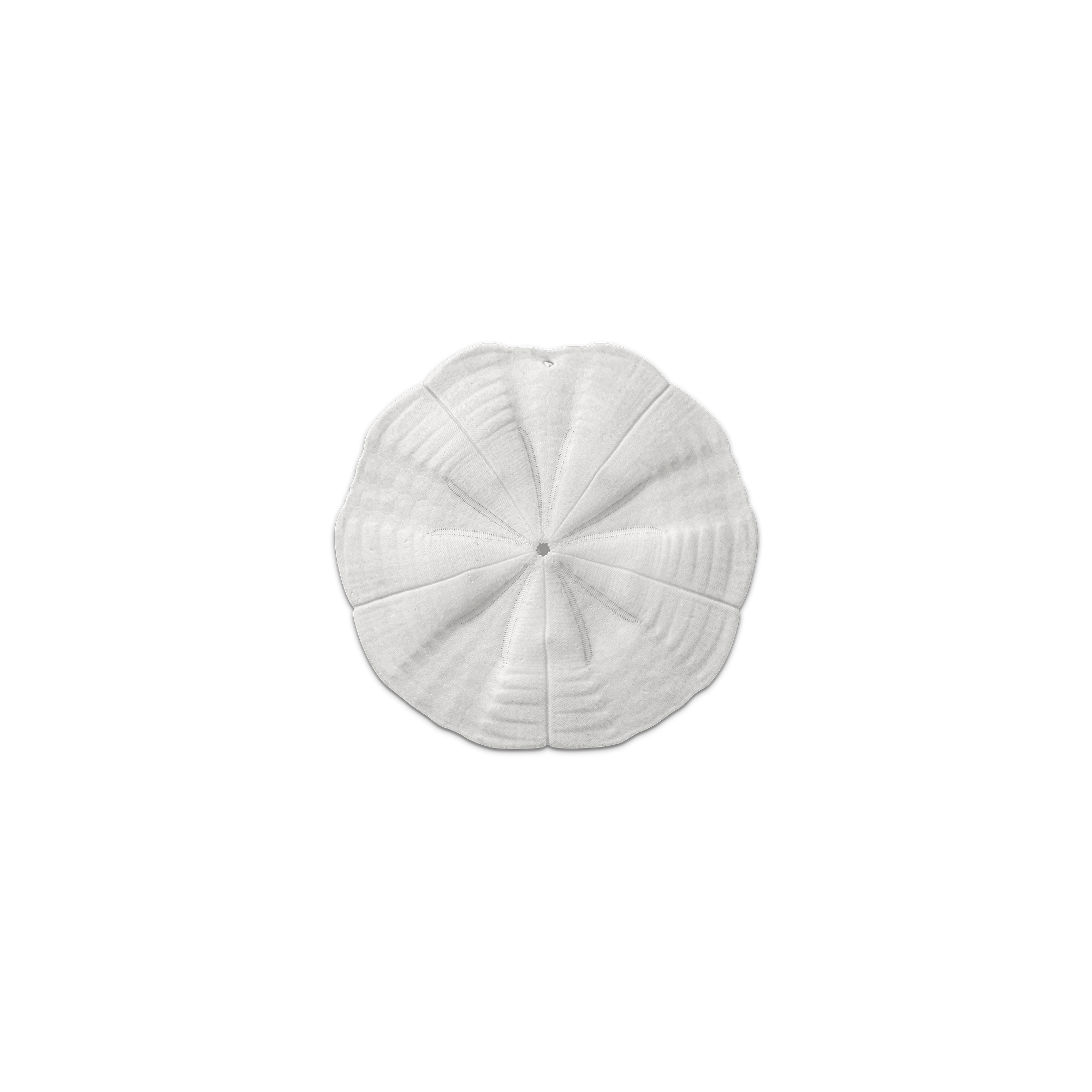 Lot De 6 Dessous De Verre Vinyle Anatife