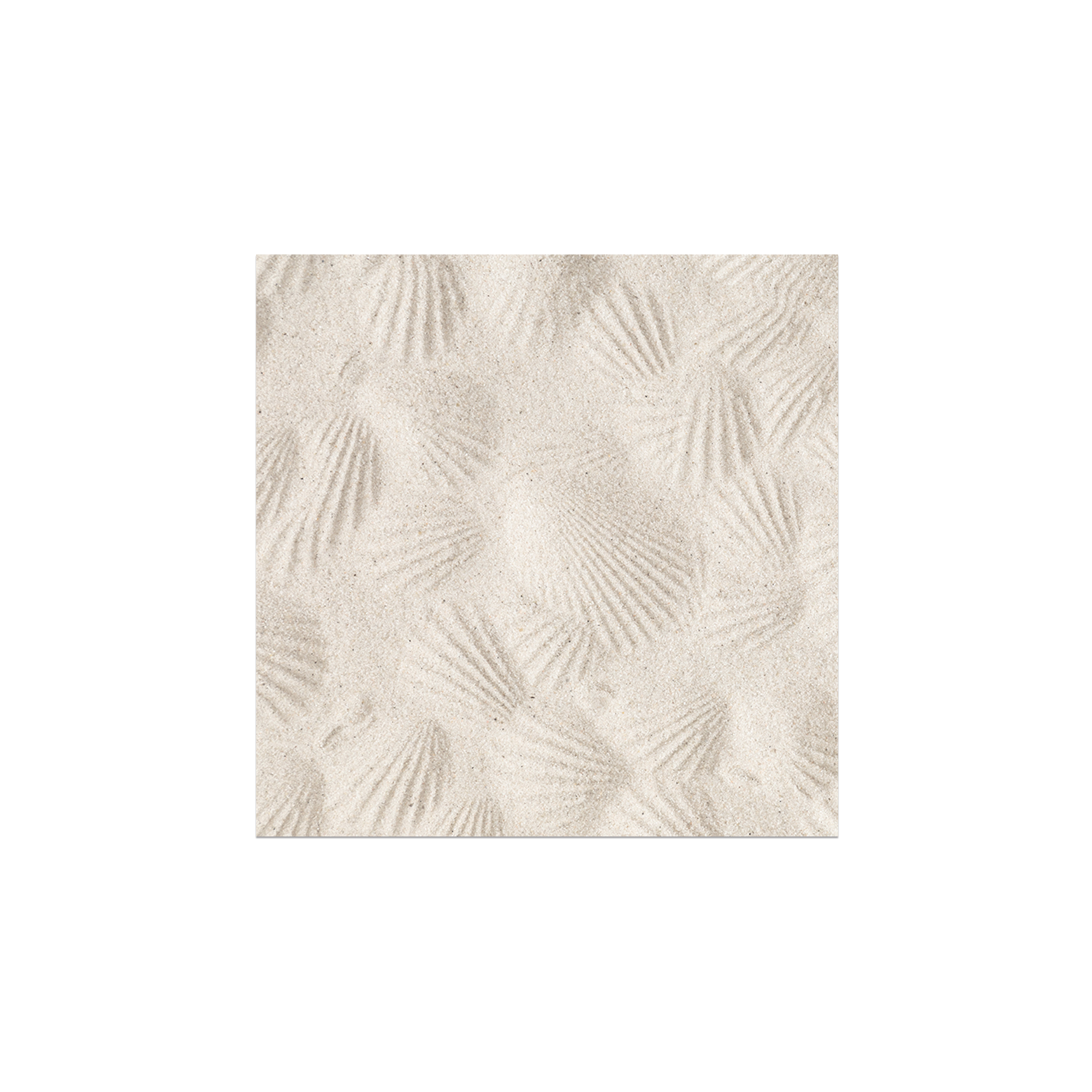 Lot de 6 dessous de verre vinyle Bivalvia