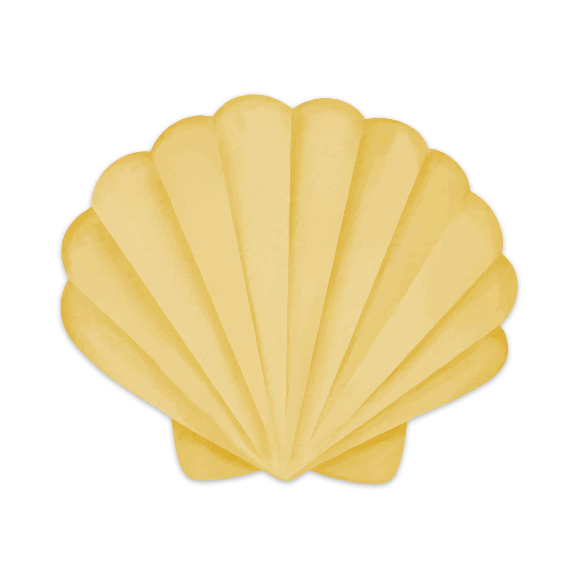 Set de table vinyle Pecten